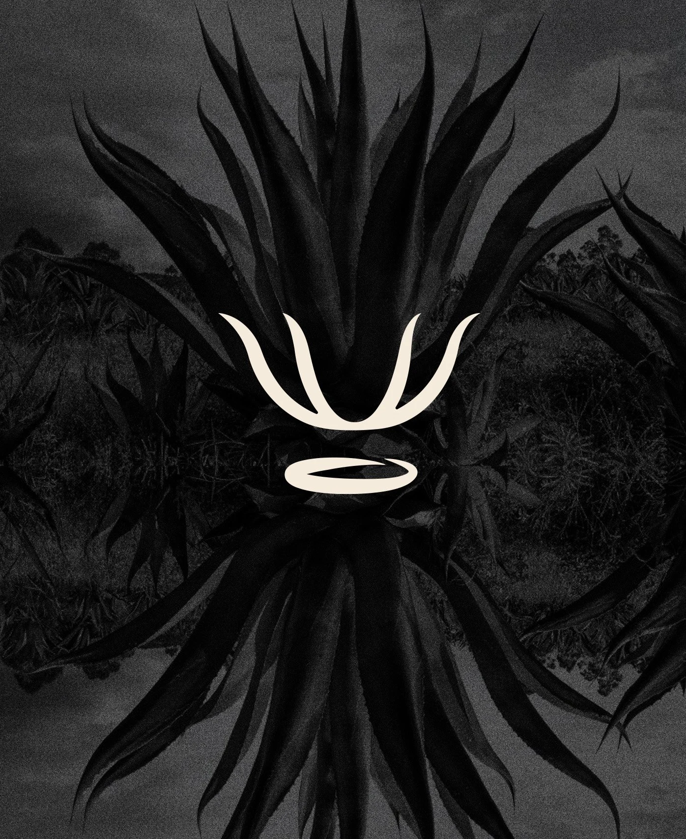 Mesa de trabajo 6.jpg