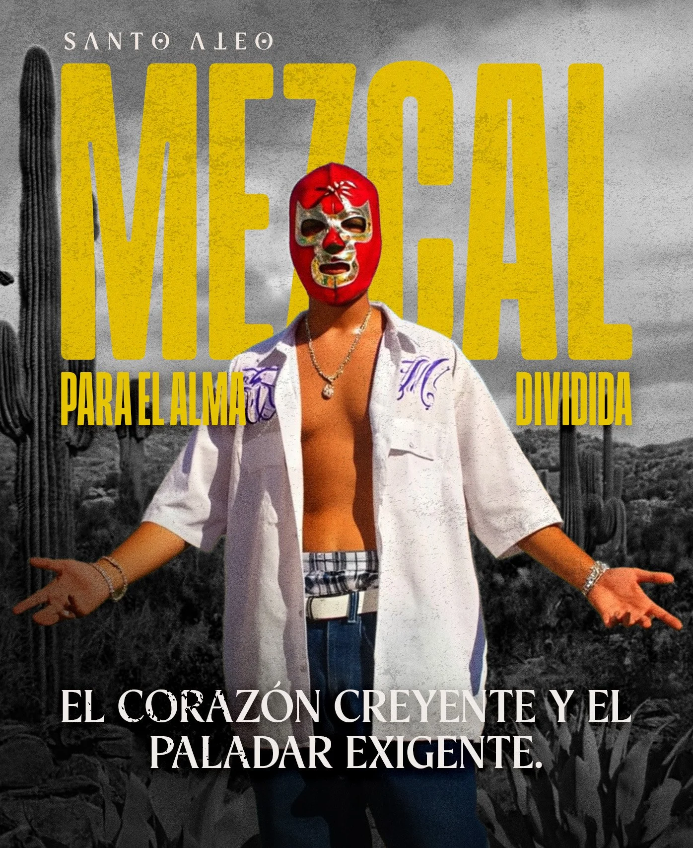 Mesa de trabajo 2 copia.jpg