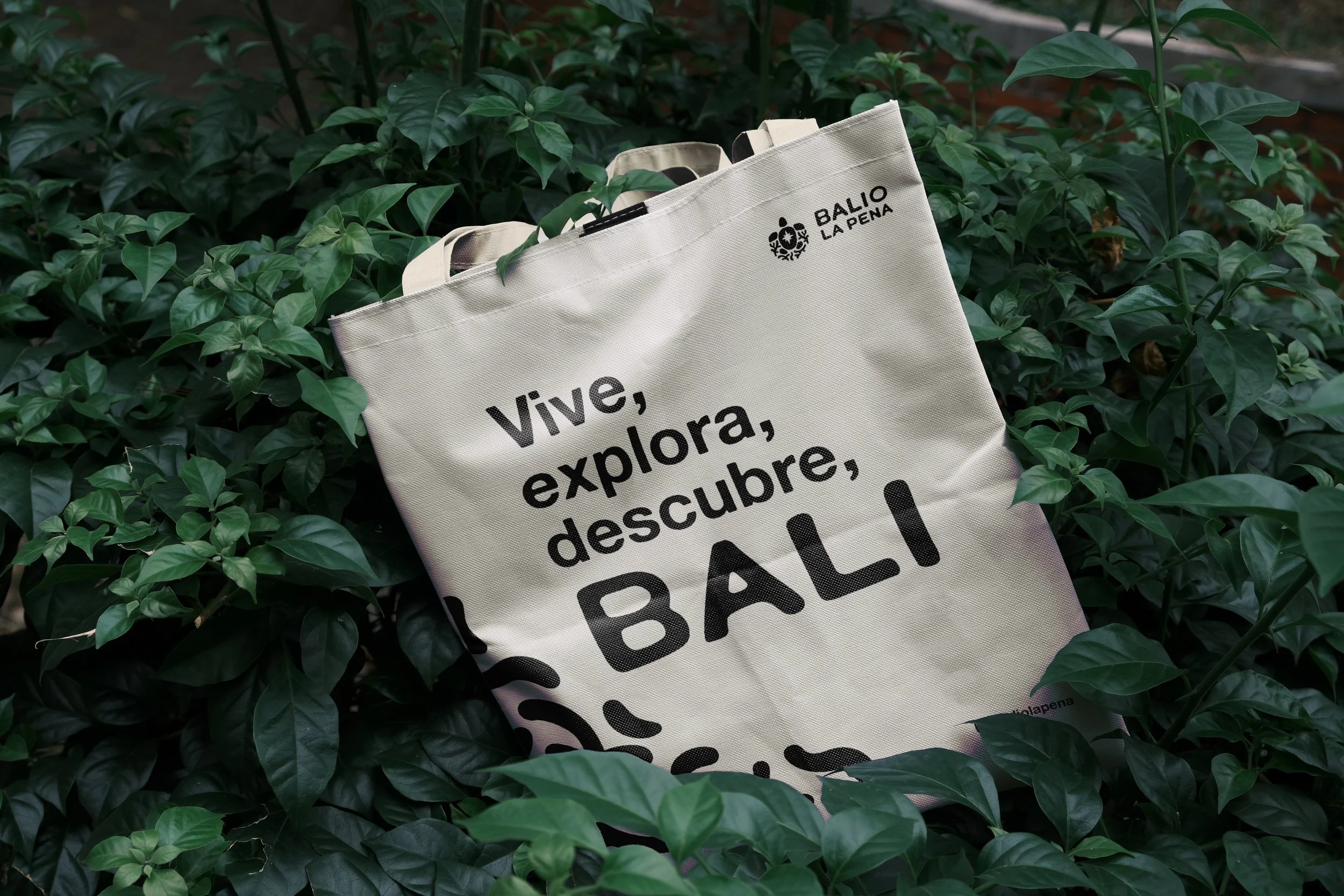 Tote Bag Prop 1_Balio la Pena.jpg