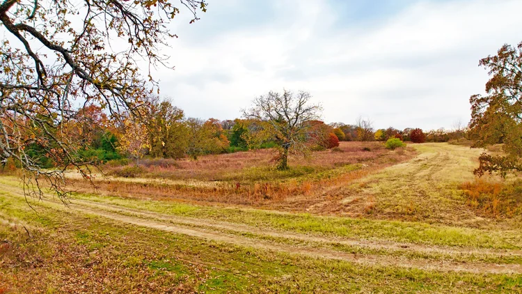 The meadow before development