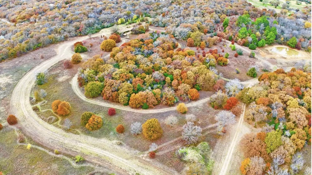 Redbird Ridge