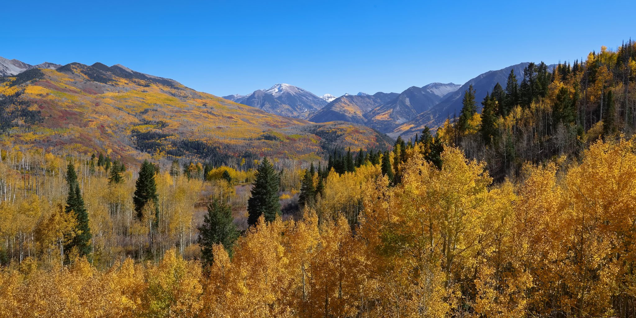Fall Colors-2.jpg