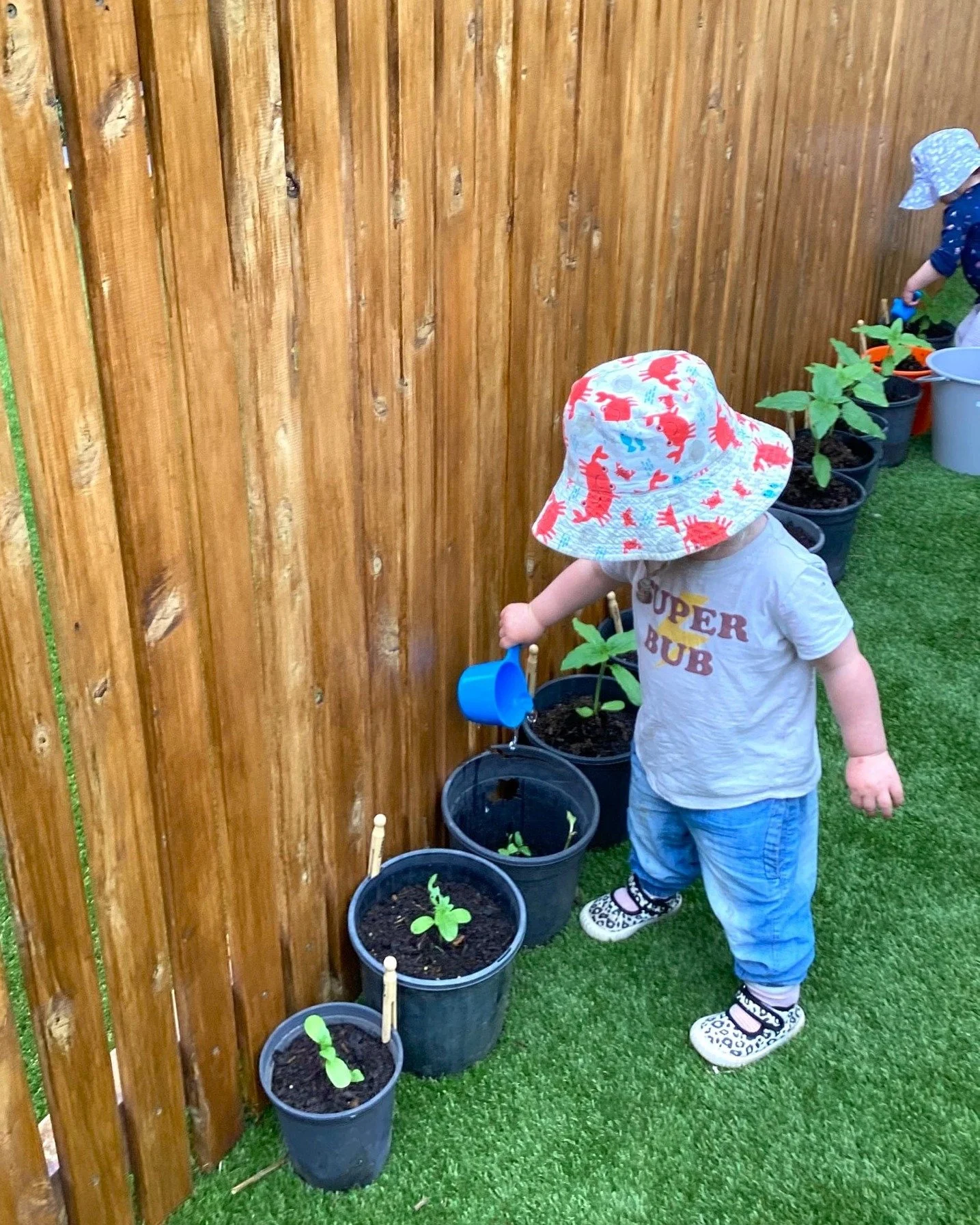🌻 Growing Together in the Willow Room 🌻

As part of their ongoing sunflower project, the Willow Room children have taken on the role of caring for their growing sunflower seedlings. A bucket of water has been placed nearby with a selection of scoop