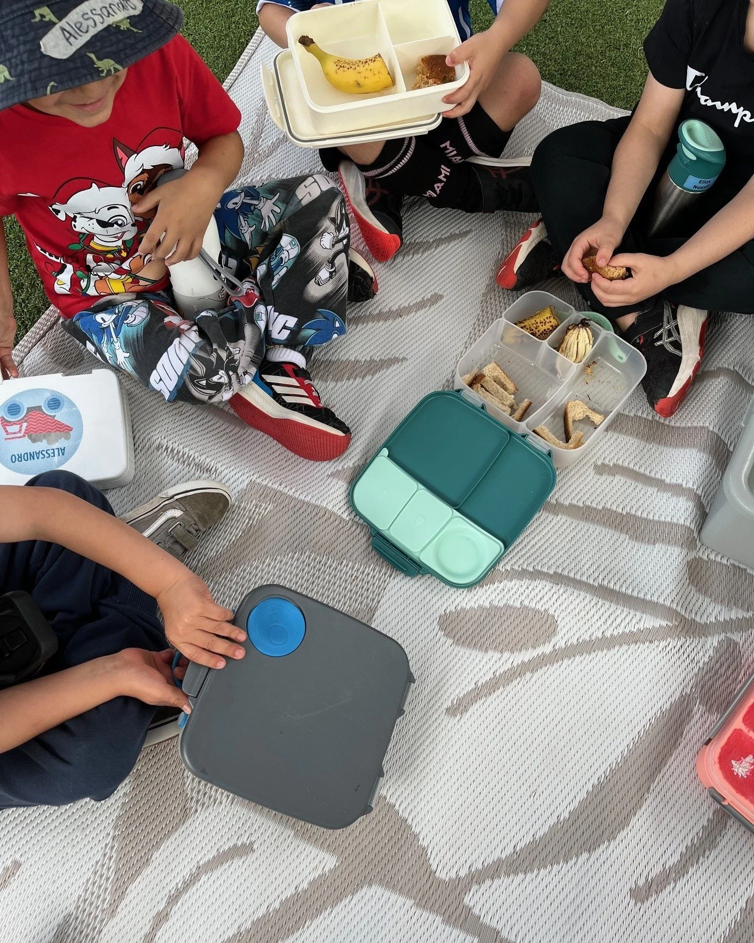 🌟 Every day is a new adventure at Treetop Early Learning!

We believe that childhood is a time for discovery, creativity, and connection. That&rsquo;s why we design experiences that go beyond the classroom&mdash;moments that help children understand