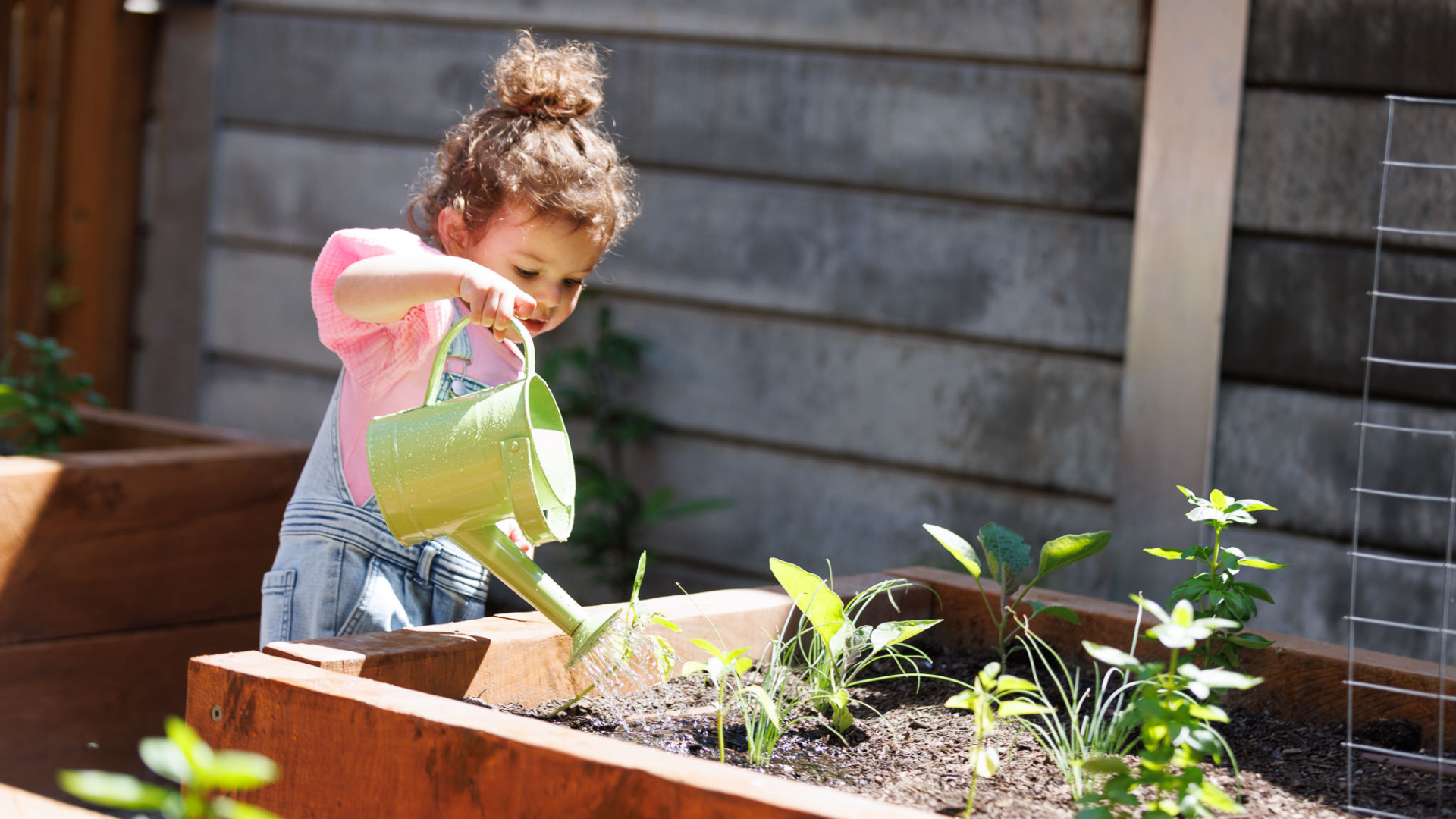 Tree Top Early Learning Essendon North