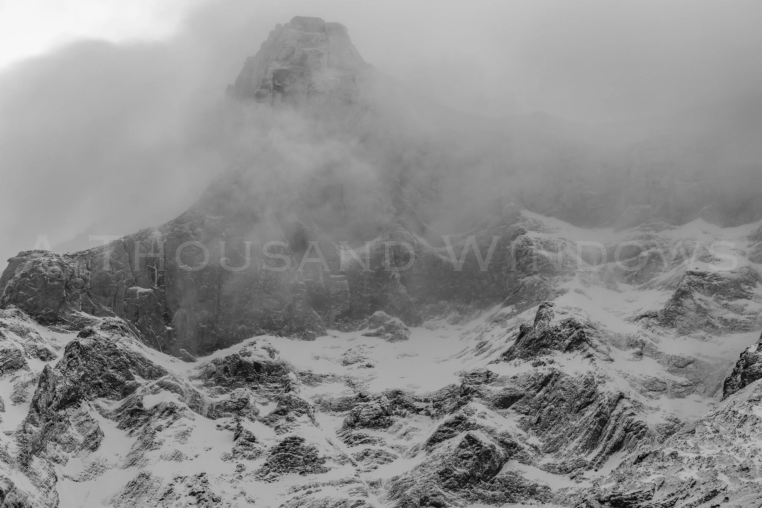 BW010.jpg