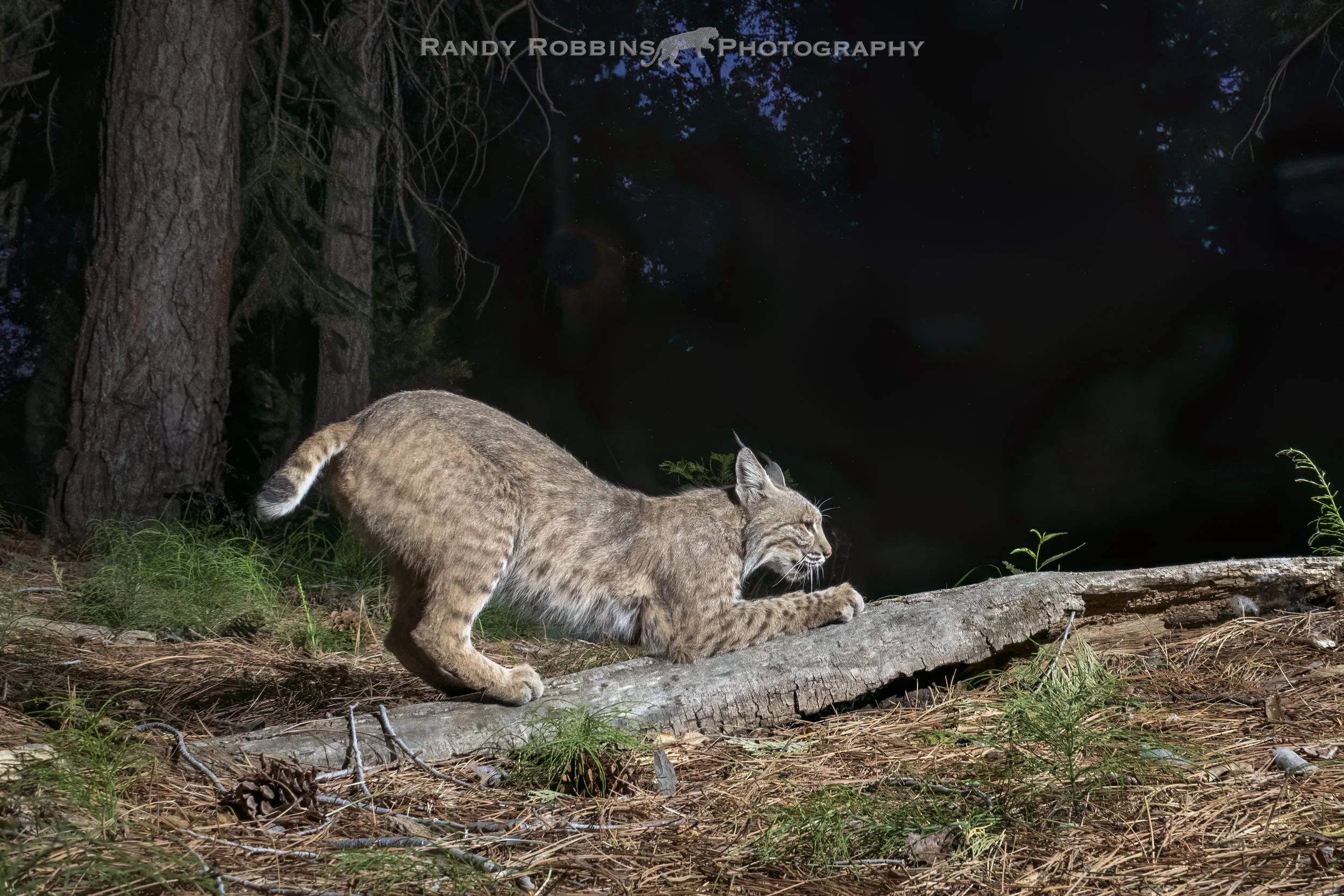 IMG_3367-Edit.jpg