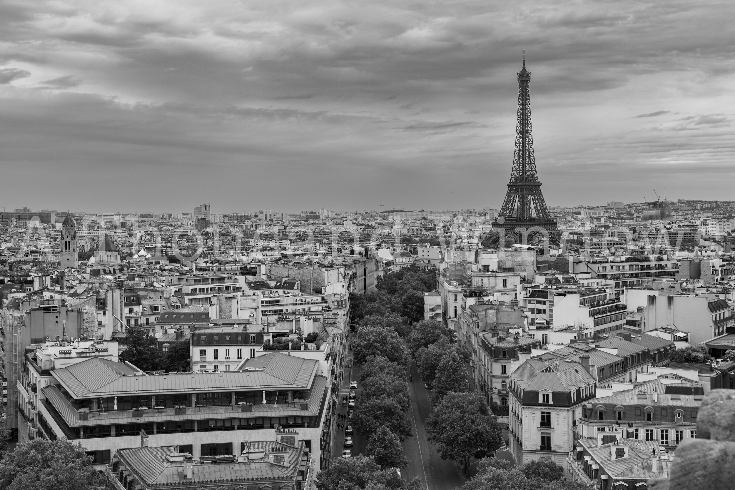 Paris Rooftops