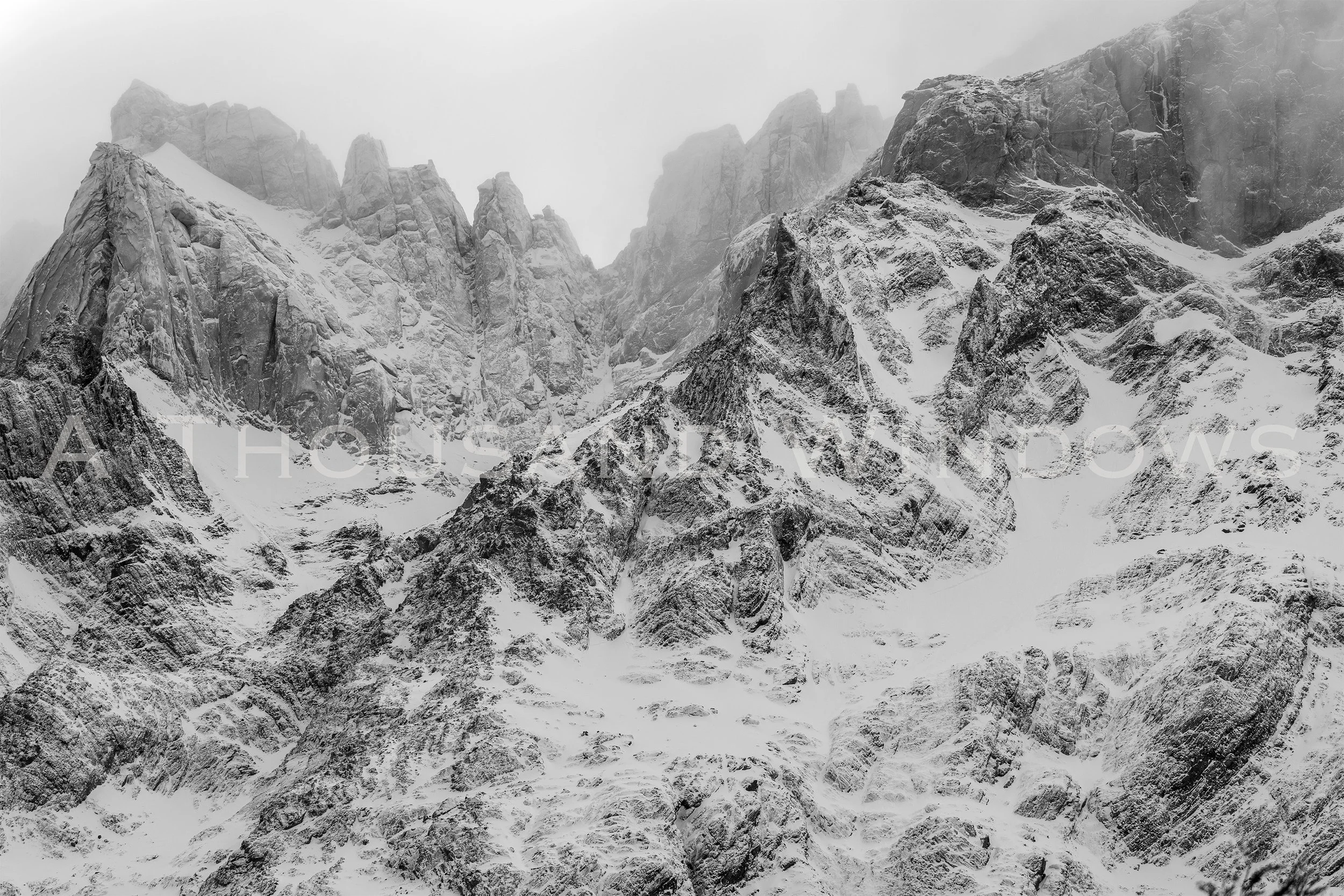 BW9.jpg
