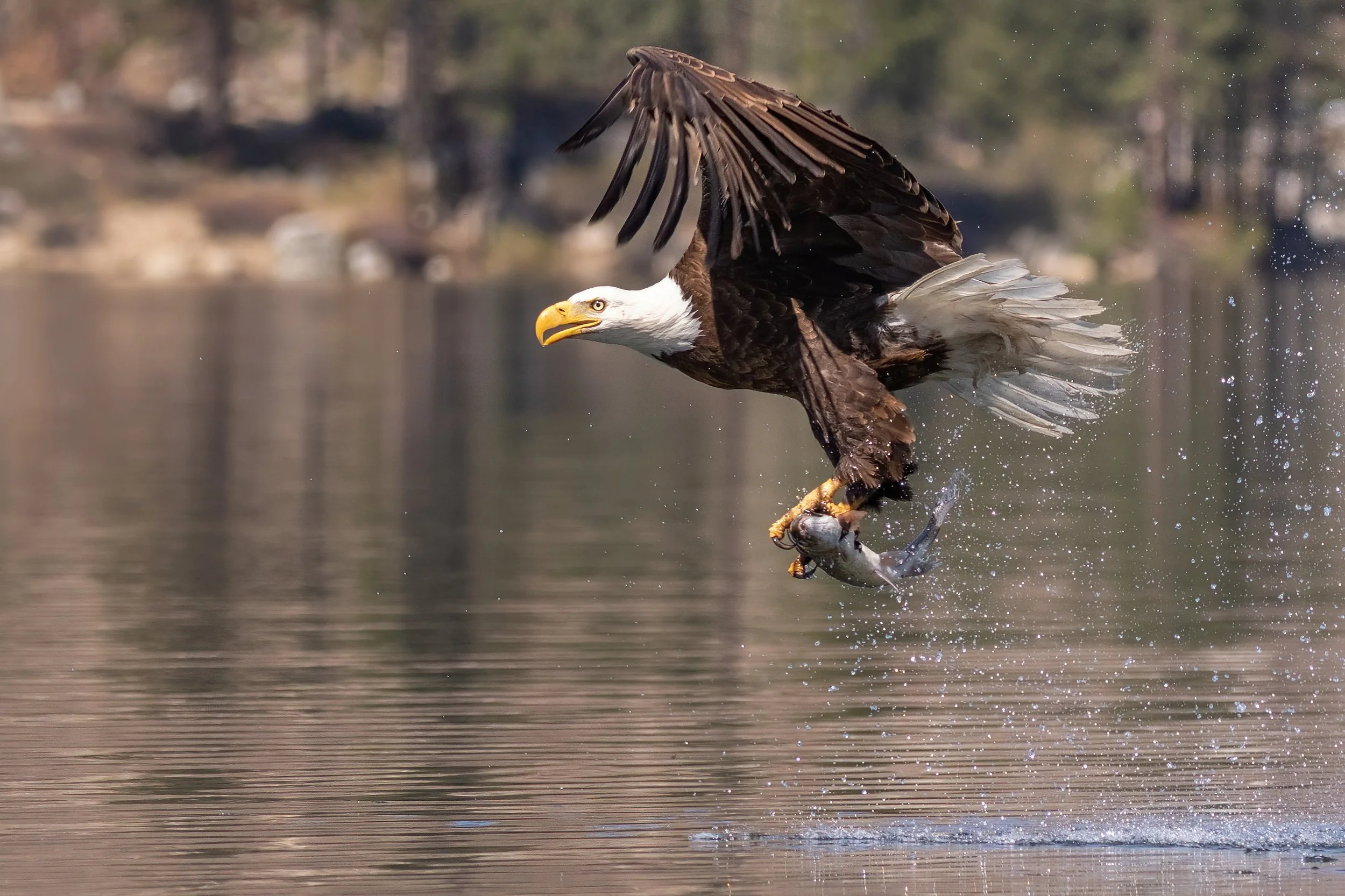 _29A9424-Edit-Edit.jpg