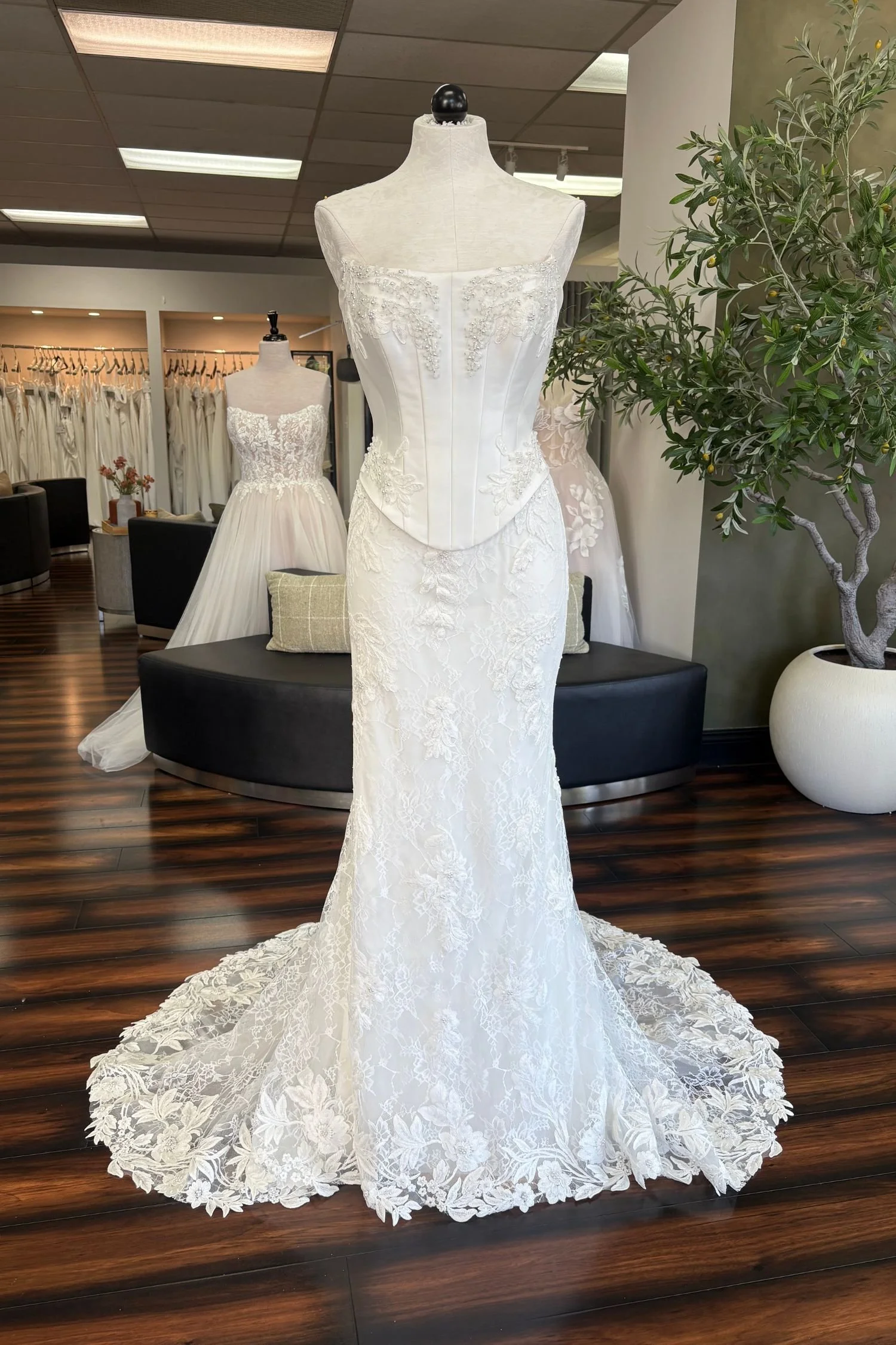 FLORA by Olive and Ivory - Camellia