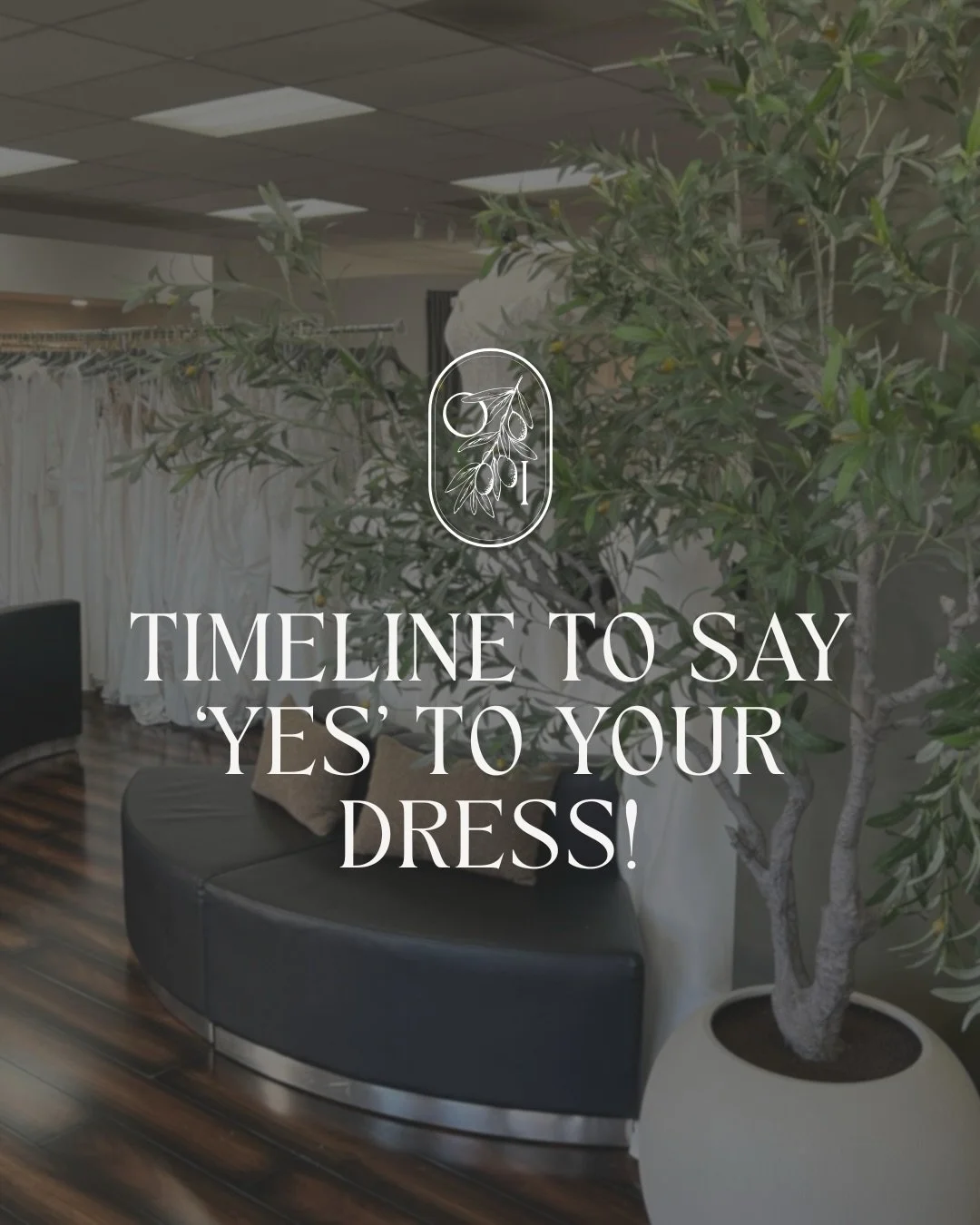✨ 2026&ndash;2027 Brides, Your Dream Gown Awaits! ✨
 From the excitement of your first appointment to the unforgettable moment you say yes, we&rsquo;re here to guide you every step of the way! 💍🥂

If your timeline is a little tighter, don&rsquo;t w