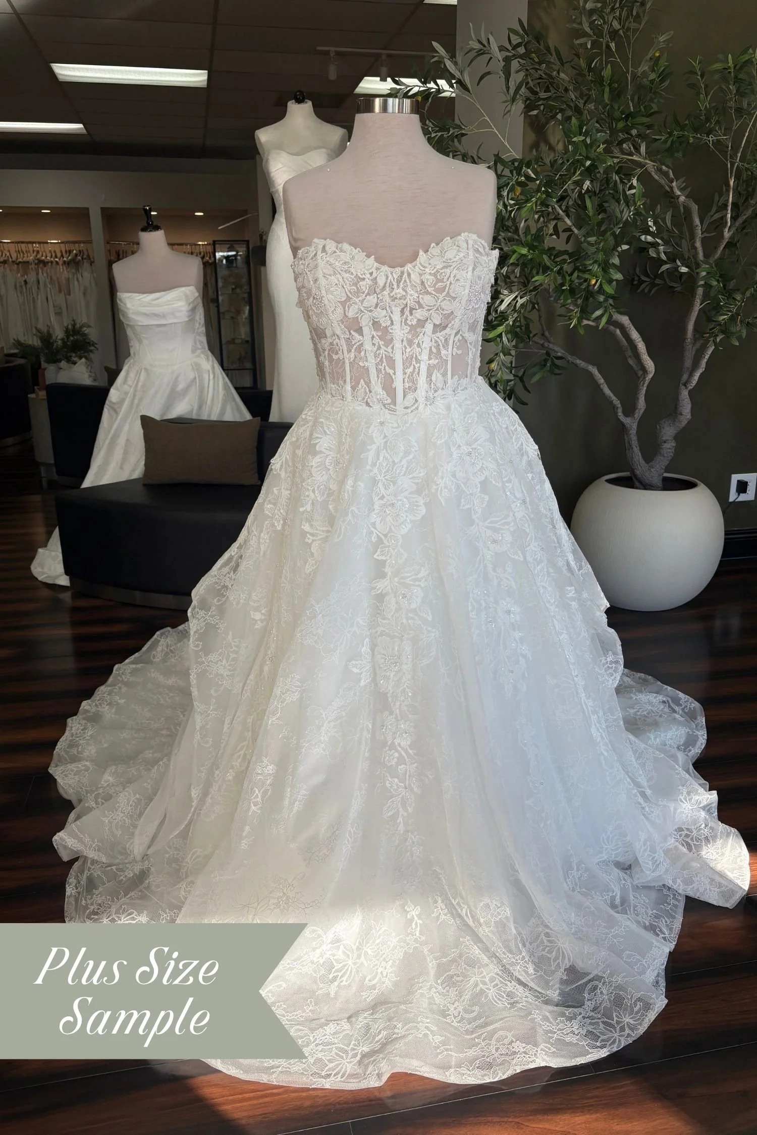FLORA by Olive and Ivory - Carnation+