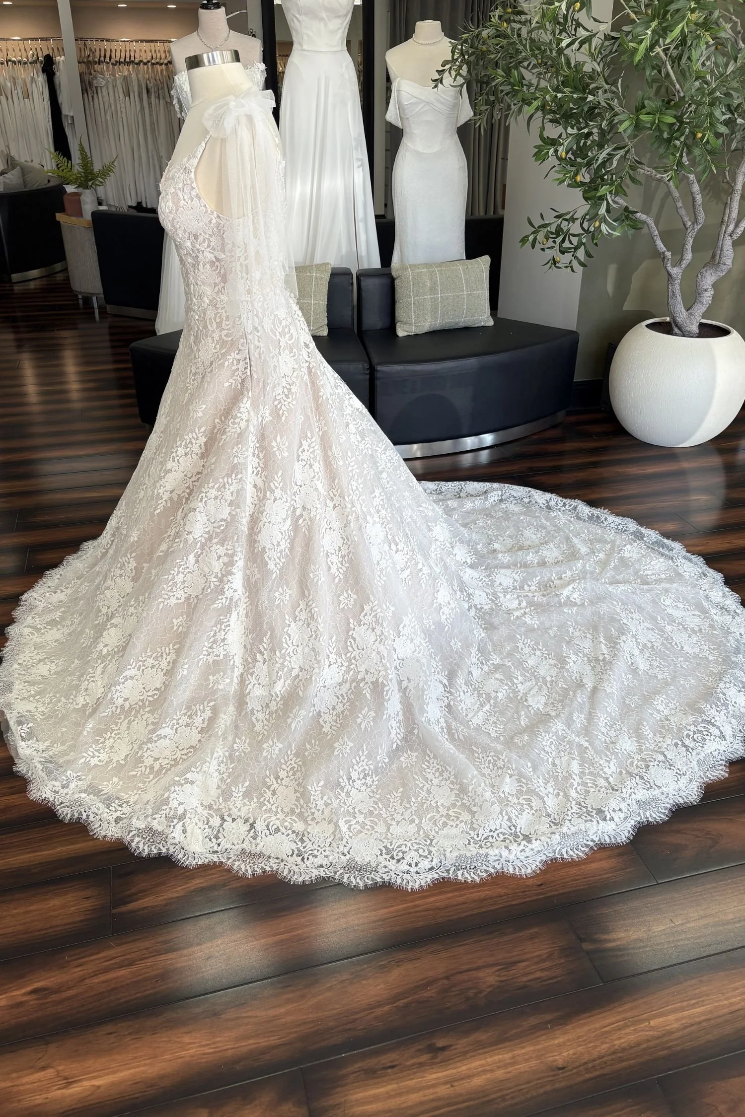 Full Lace A-Line Wedding Dress with Plunge Neckline