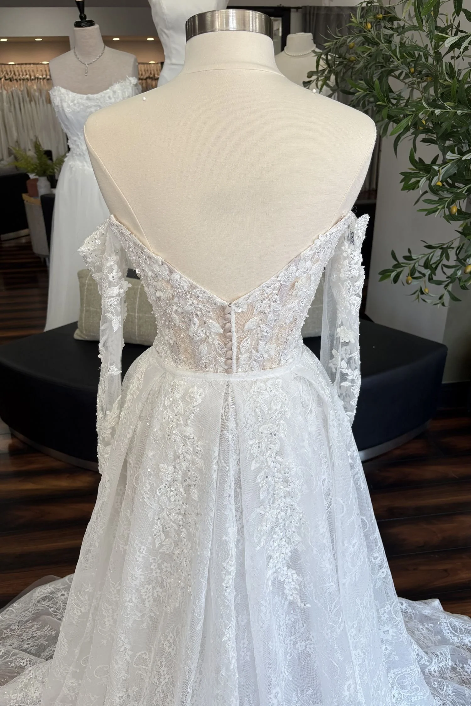 Full Lace Fit & Flare Wedding Dress with Basque waist