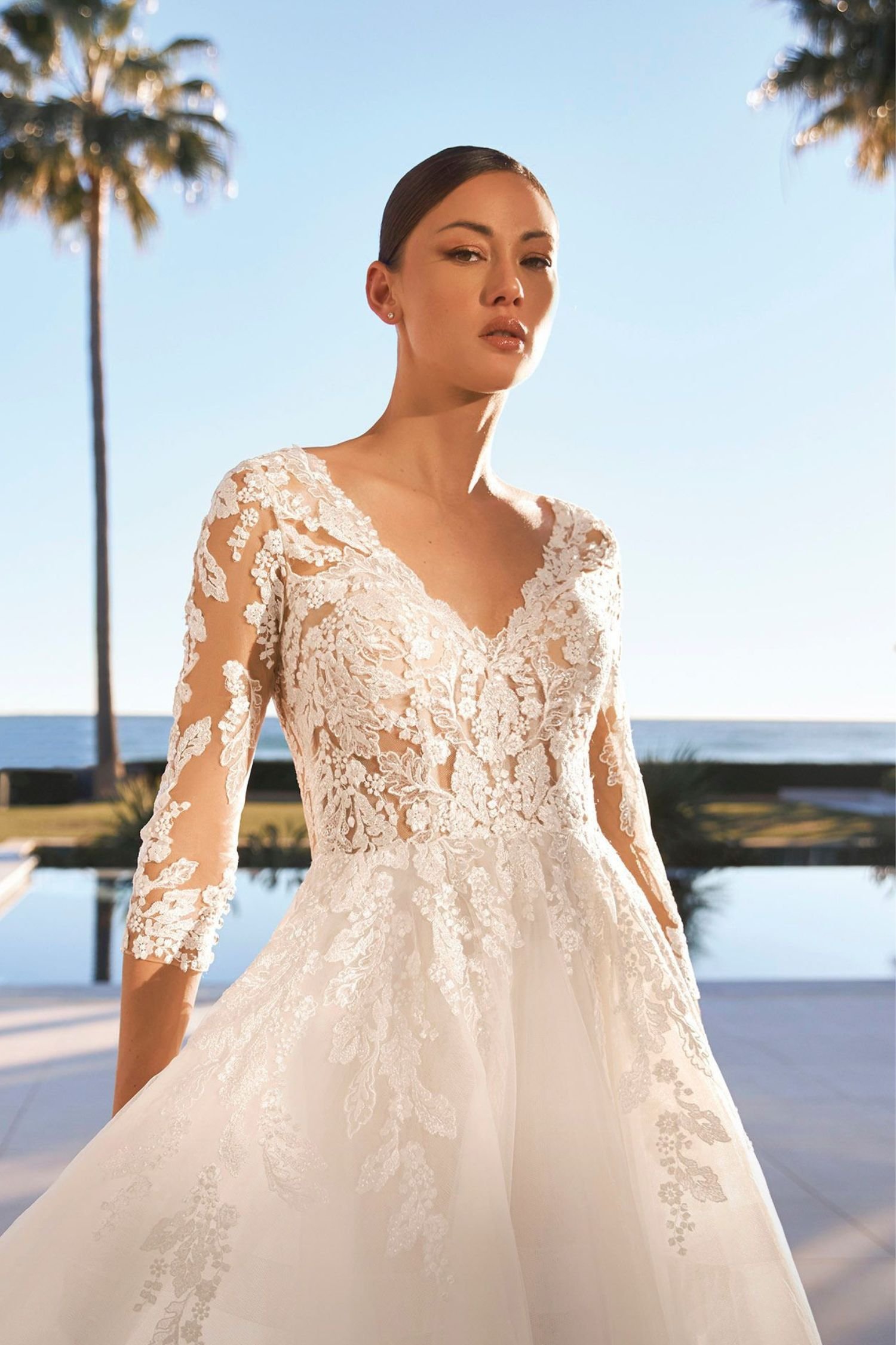 Tulle Lace Ball Gown Wedding Dress with Long Sleeves