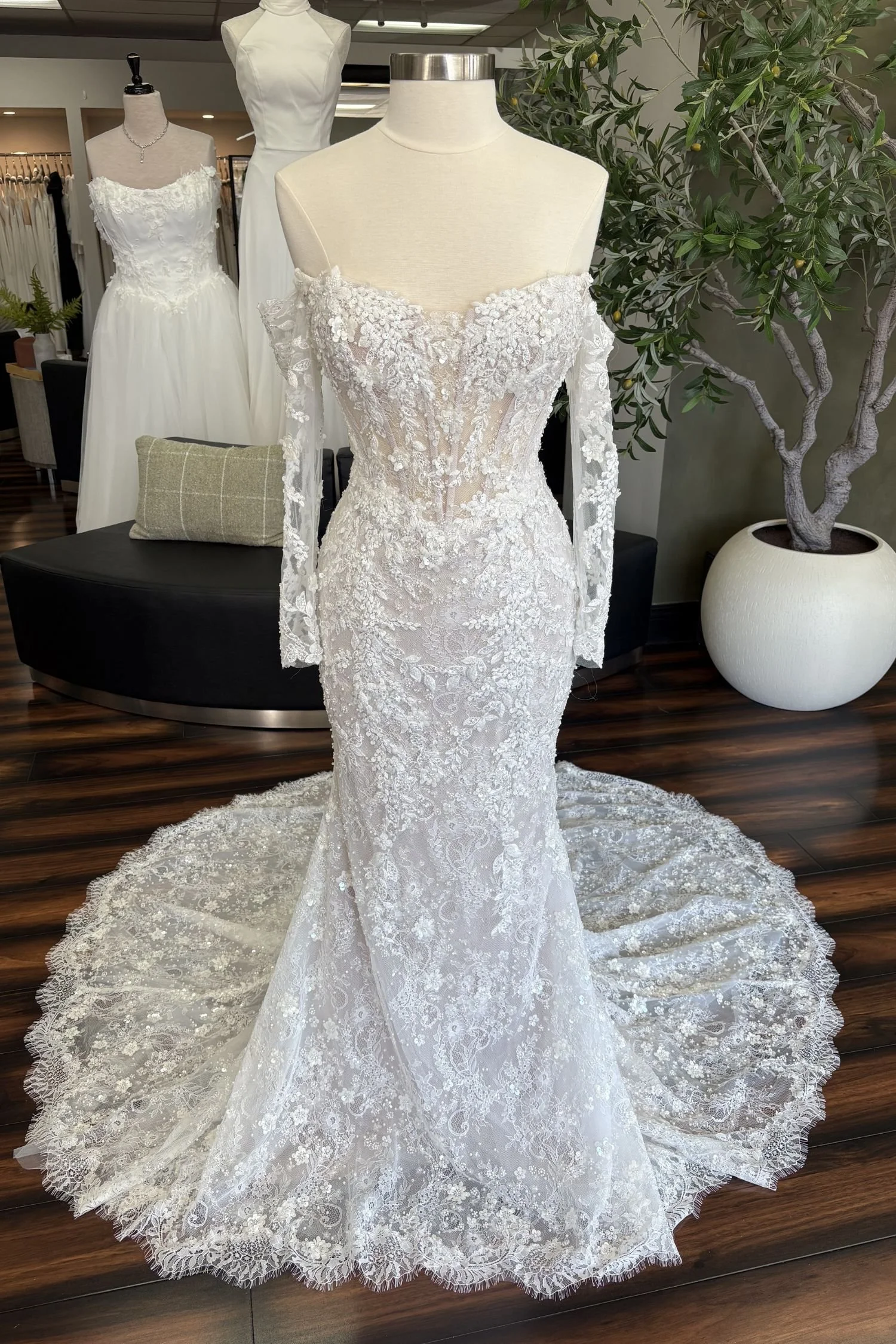 Full Lace Fit & Flare Wedding Dress with Basque Waist