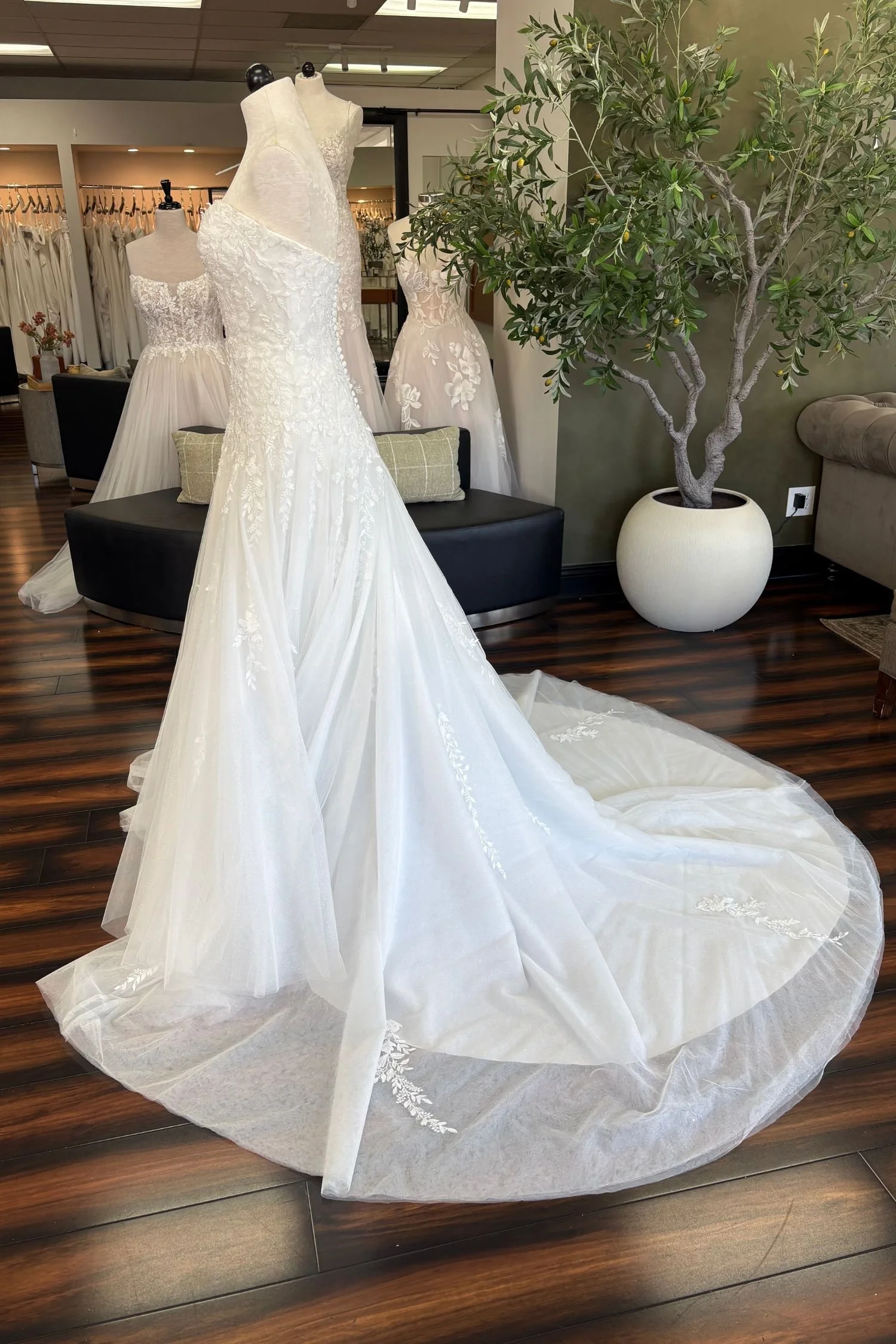 Tulle Aline Wedding Dress with Drop Waist and Lace Appliques