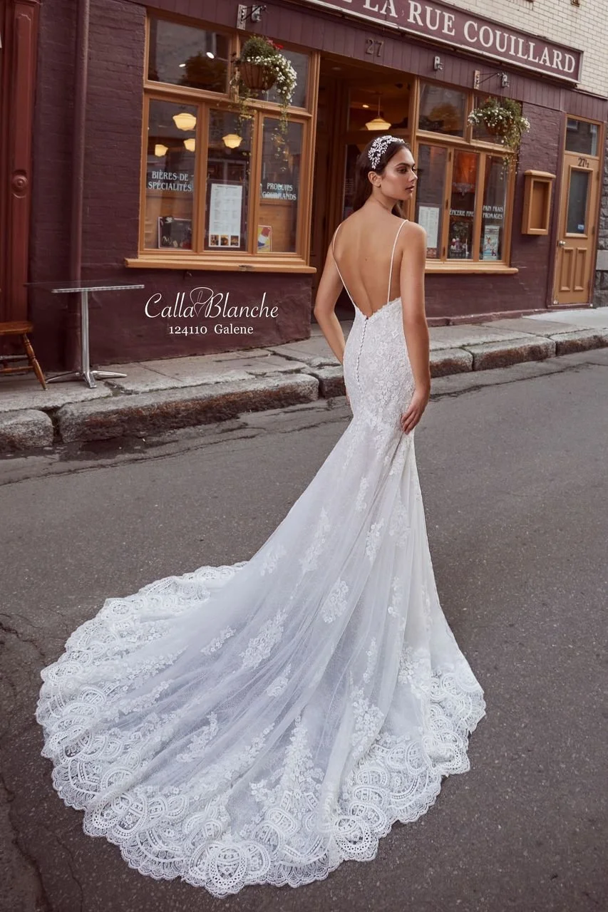 Calla Blanche Galene 124110 A-line wedding dress with spaghetti straps, V-neckline, sparkle beading, and backless design
