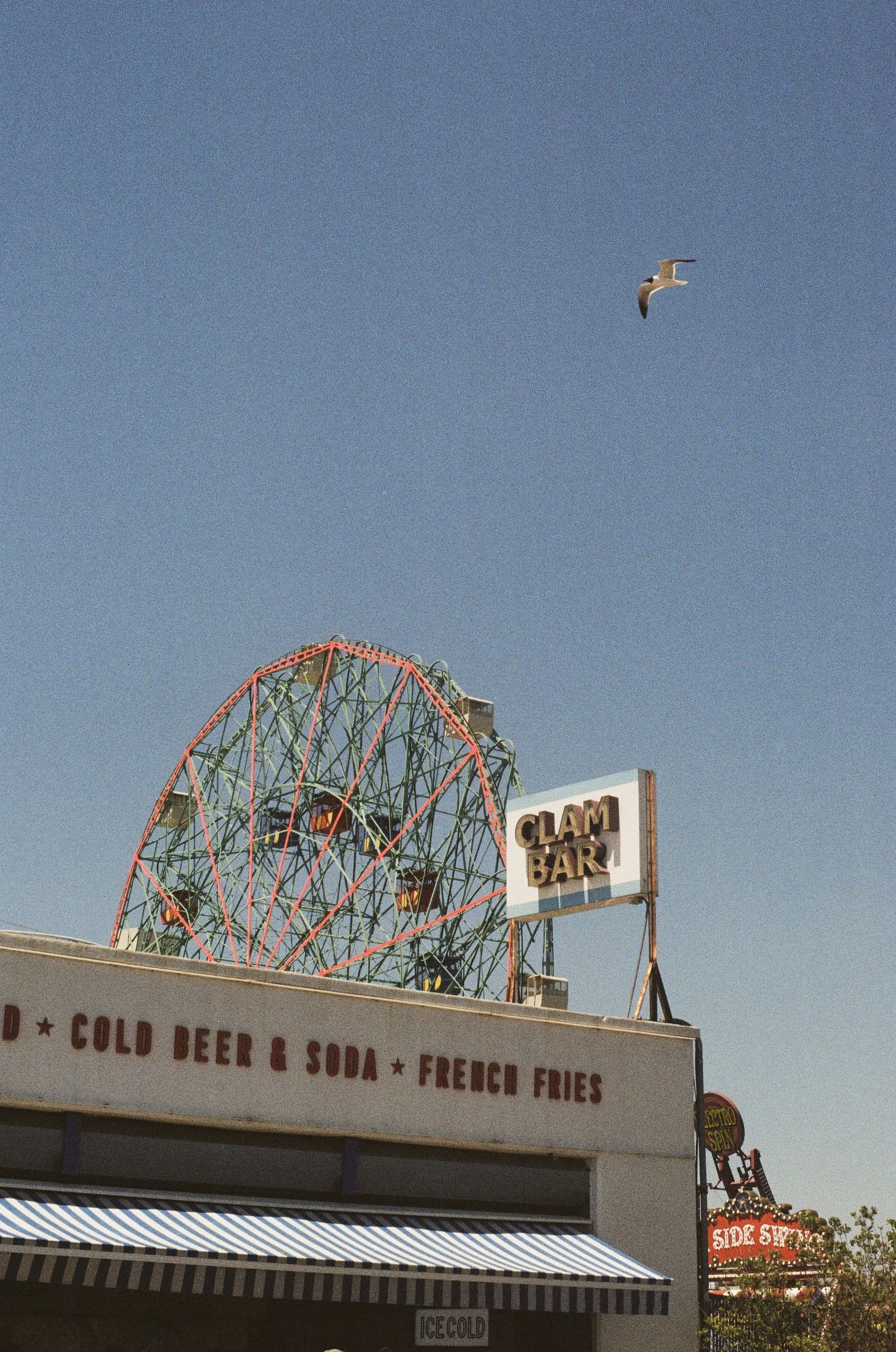 000194520016.jpg