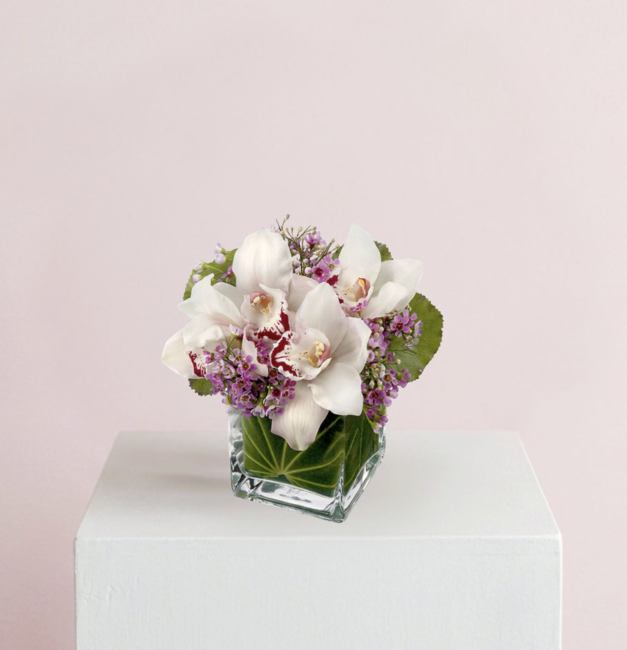 LOVELY ORCHIDS