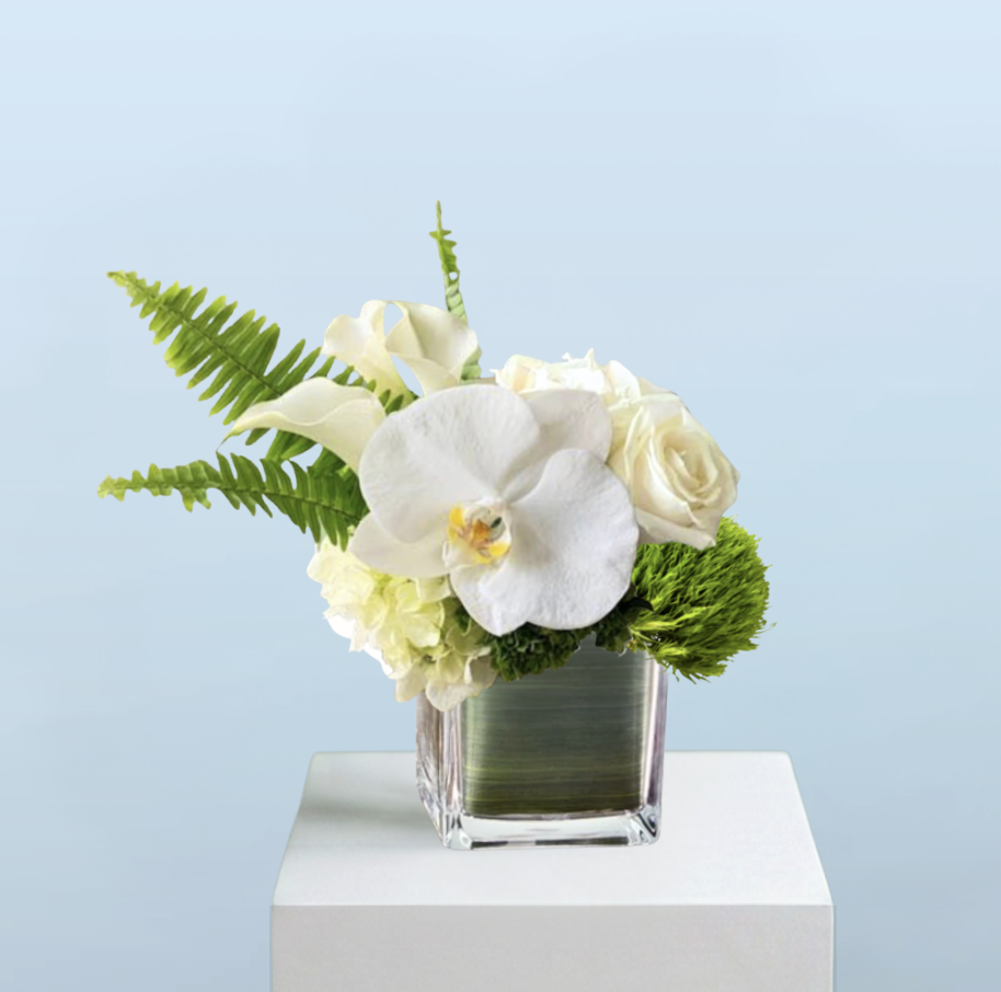 LUXE ORCHID CUBE