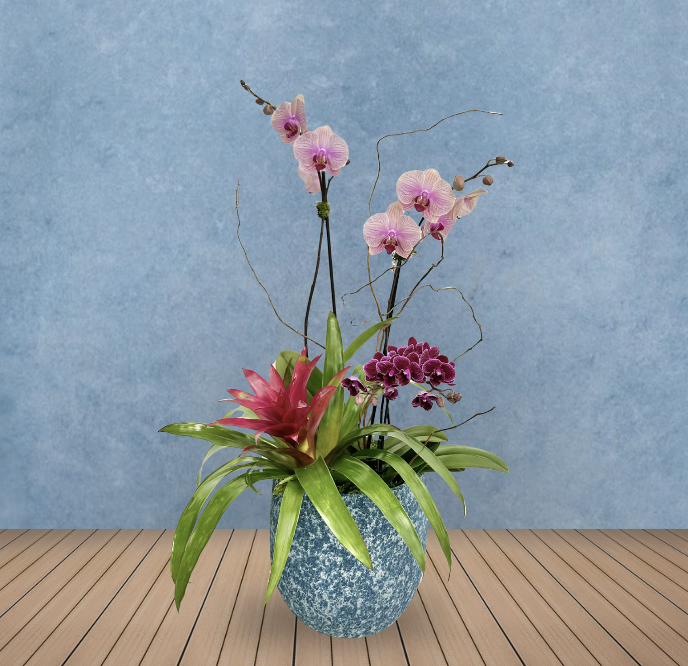 SUMMER ORCHID GARDEN