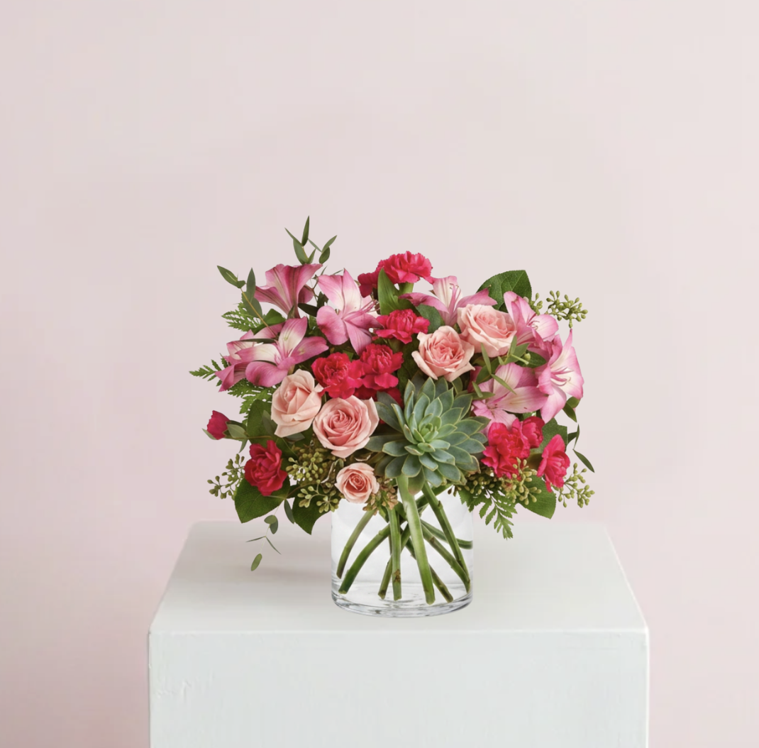 PINK ROSE GARDEN WITH SUCCULENT