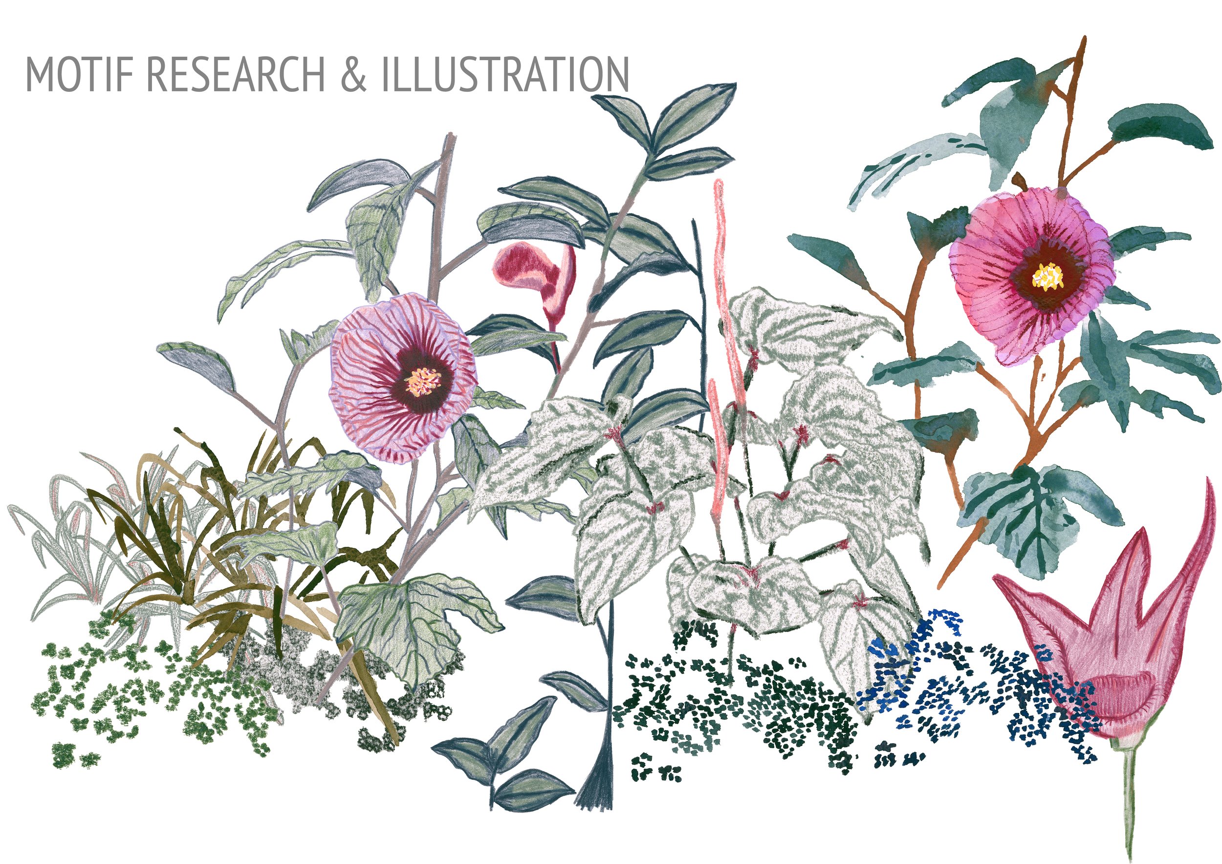 Croqui Development copy.jpg