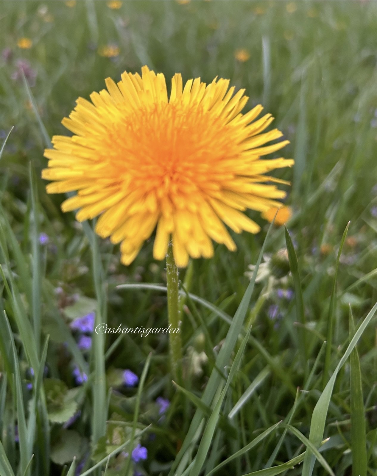 1872DF80-62DE-4132-BF8A-A1410BE35BEC.jpeg