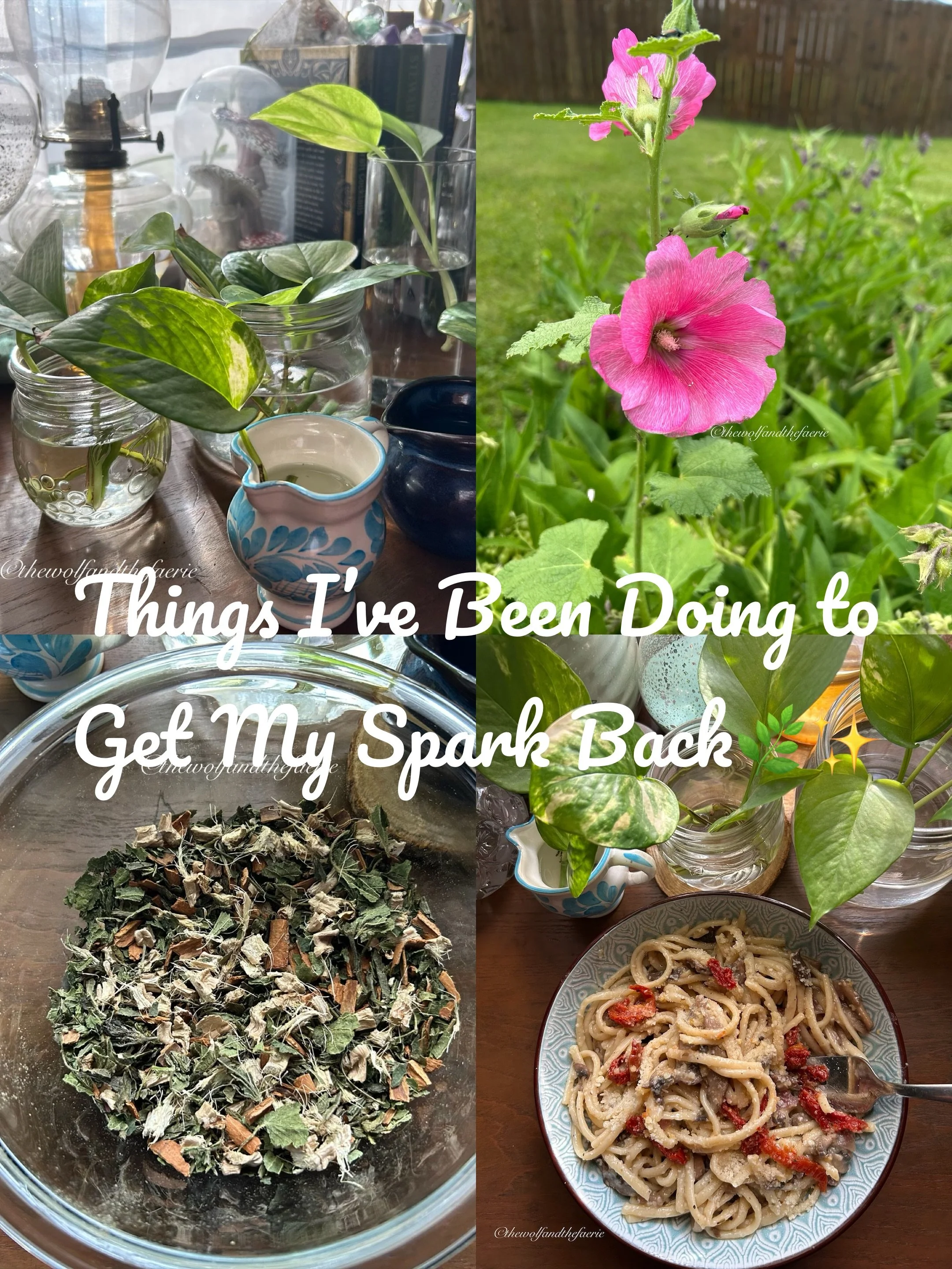 Starting Over and Getting My Spark Back 🌿✨:Late June-July