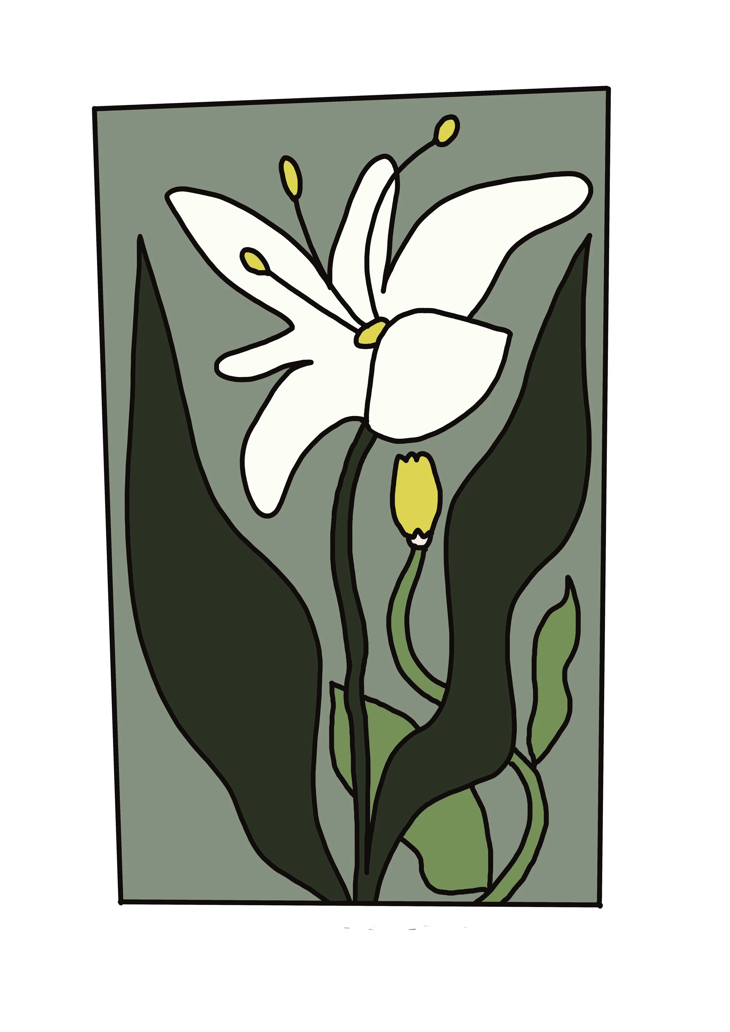 Untitled_Artwork 5 copy 2.jpg