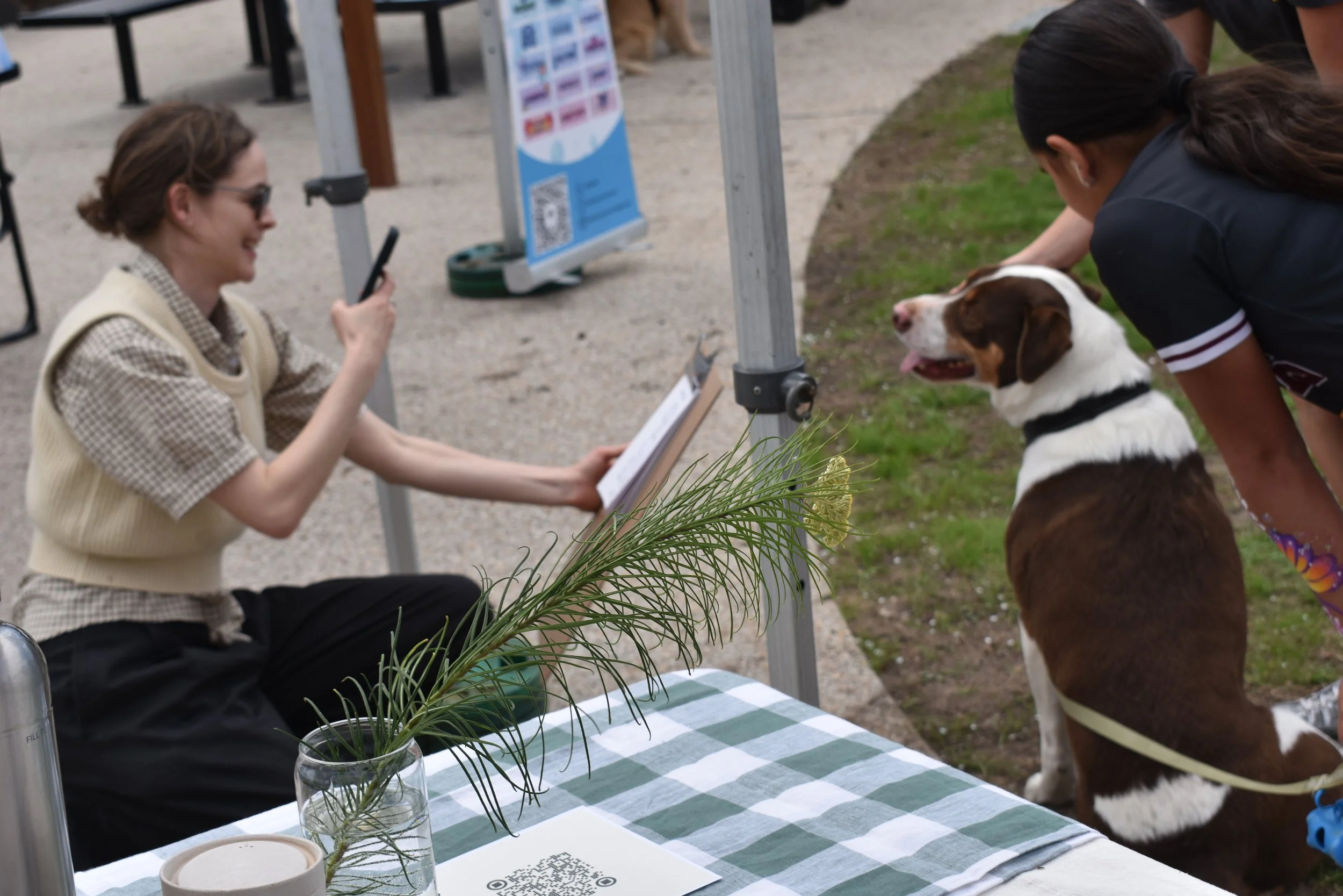 on the spot live drawing, dog drawing illustrations for events & festivals 