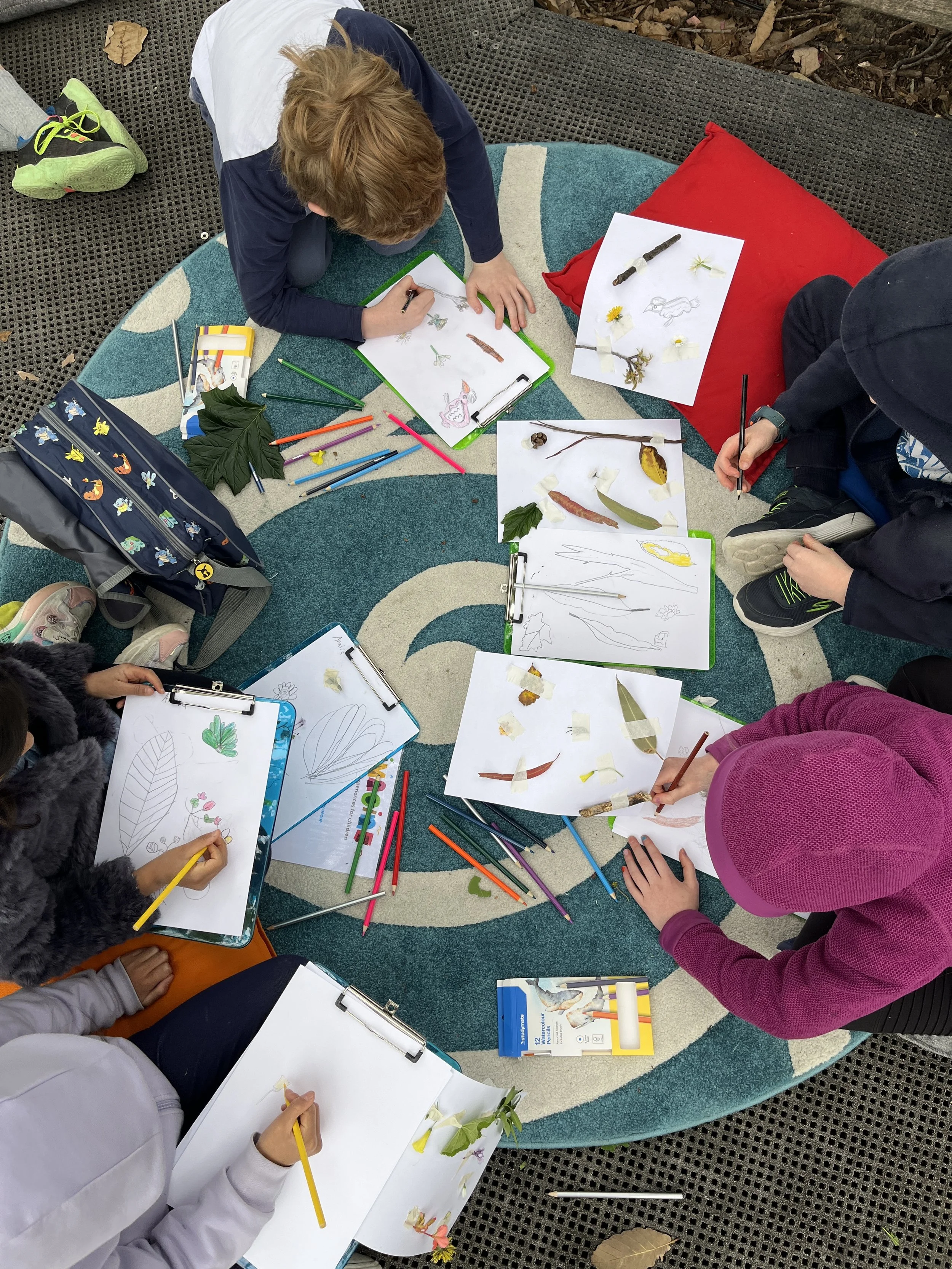kids nature illustration workshop wyreena art centre