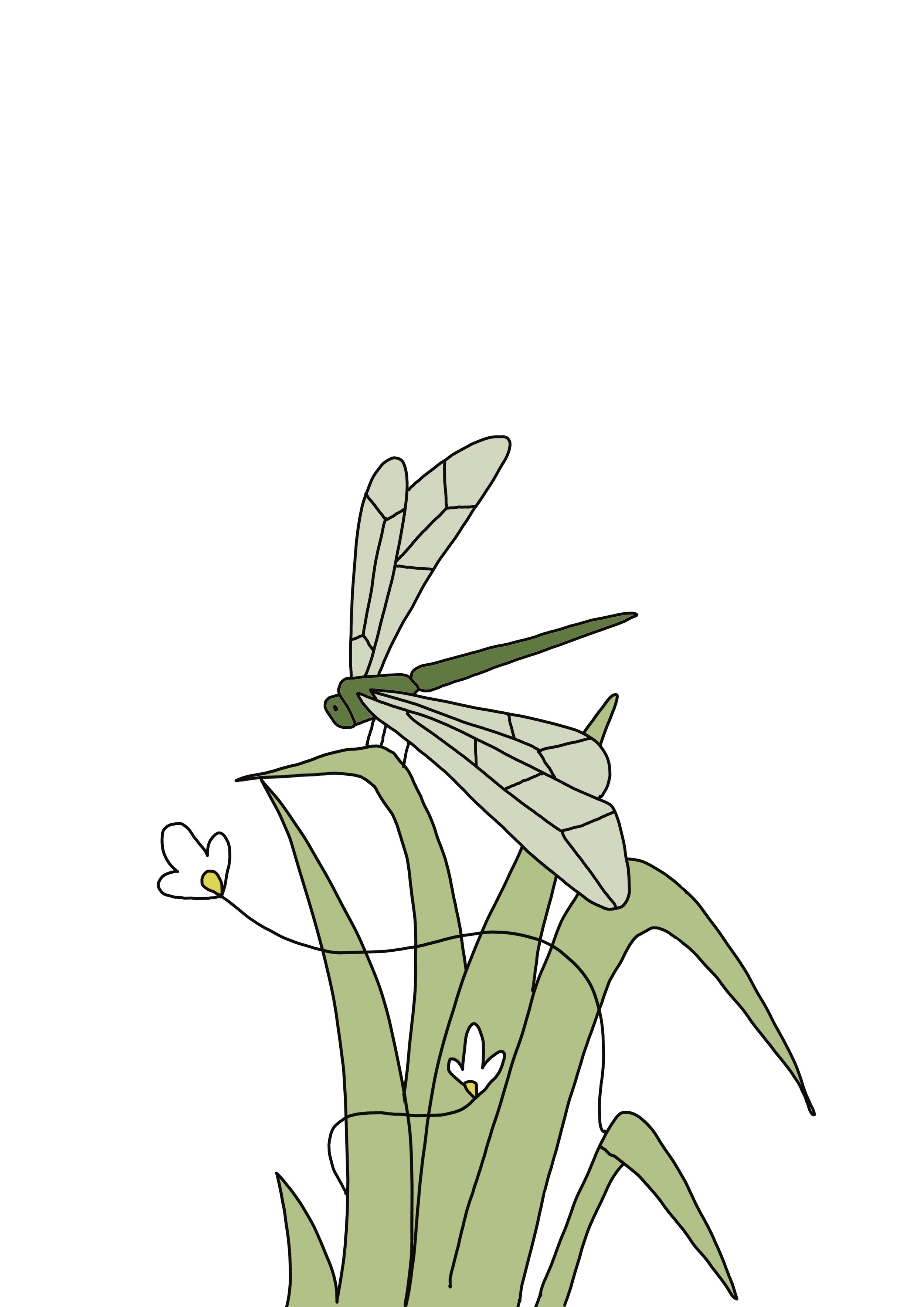 Untitled_Artwork 7.jpg