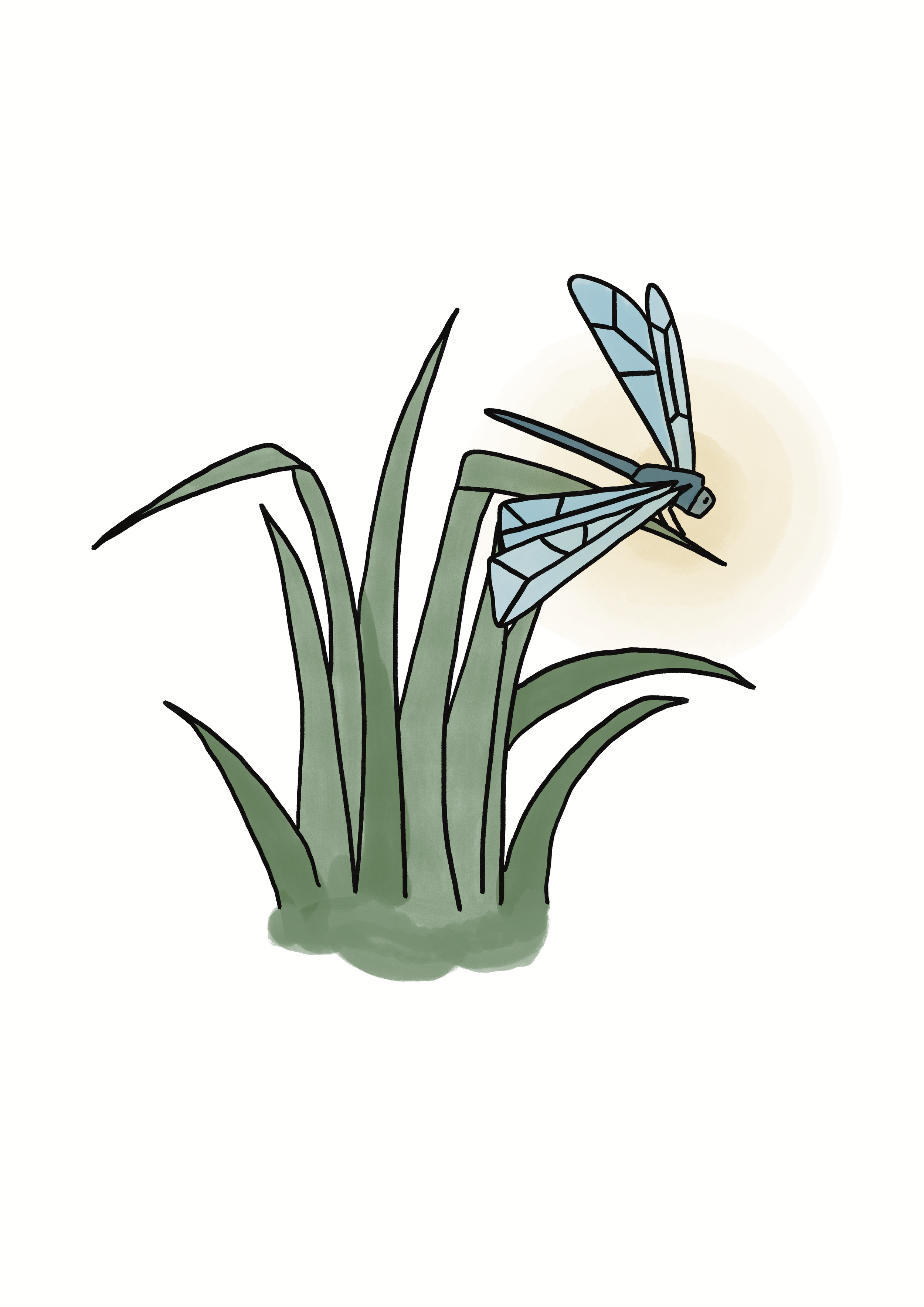 Angharad Neal-Williams_editorial, branding and advertising illustrations