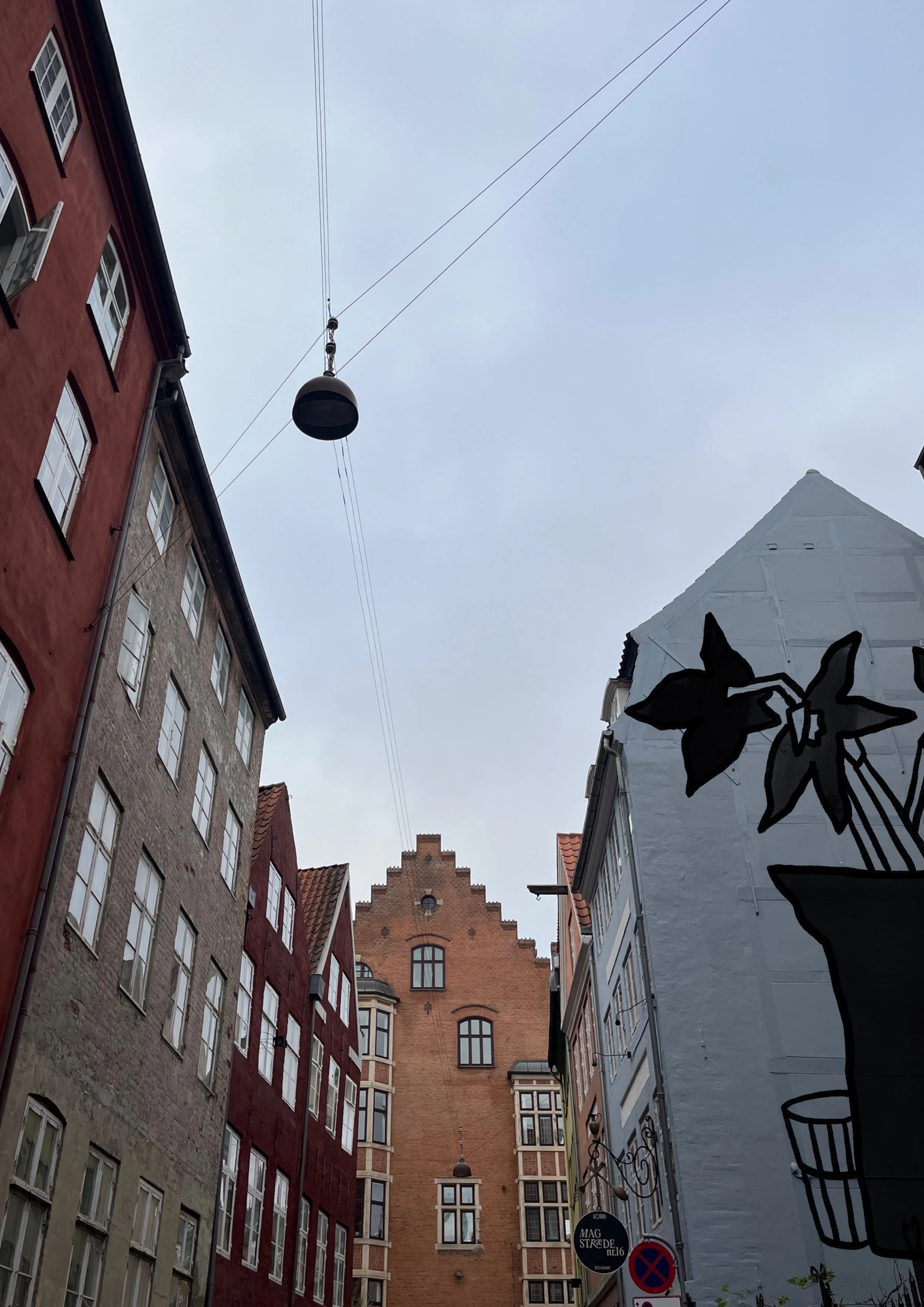 Angharad Neal-Williams_commercial and residential murals, editorial, branding and advertising illustrations