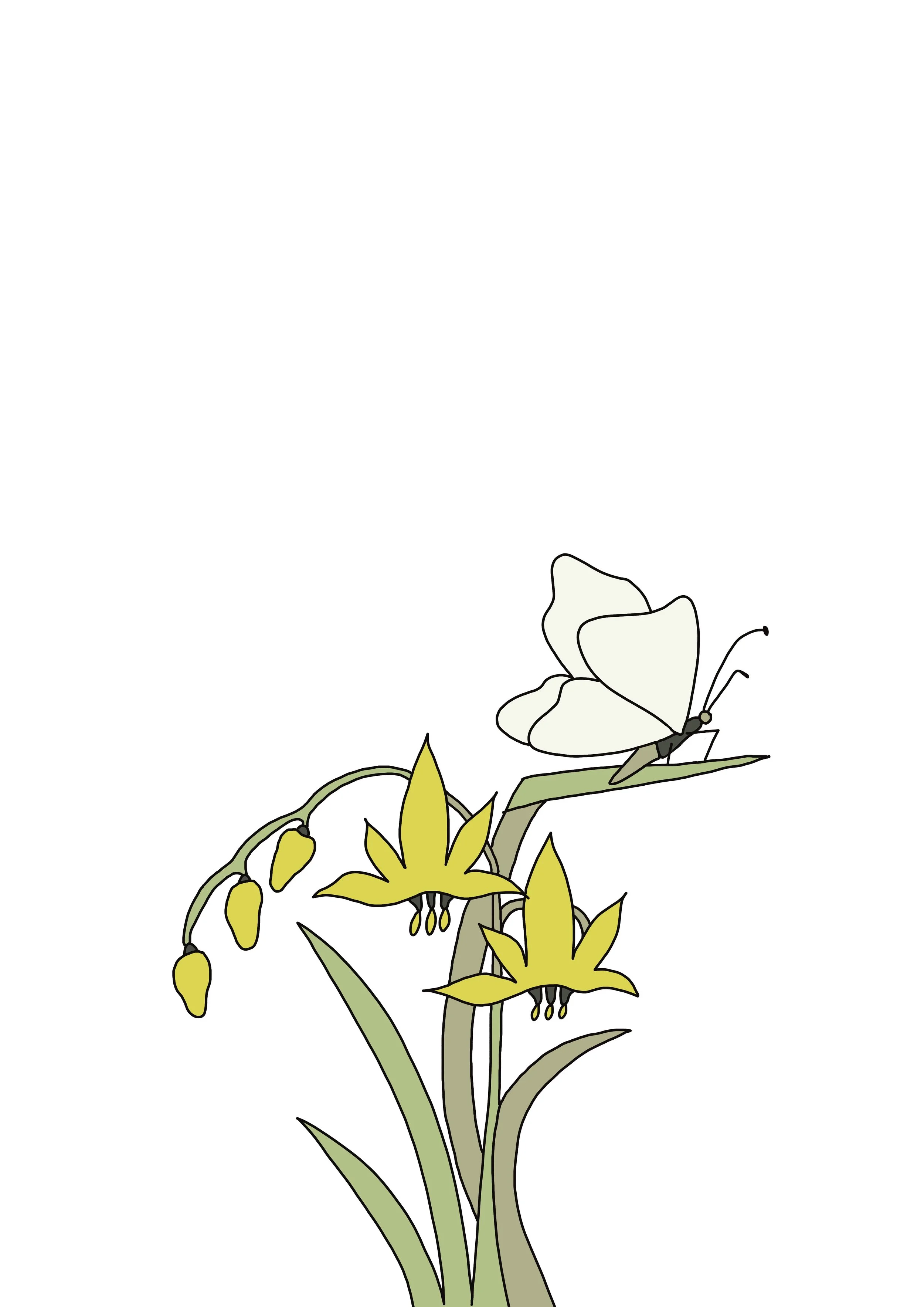 Angharad Neal-Williams_commercial and residential murals, editorial, branding and advertising illustrations