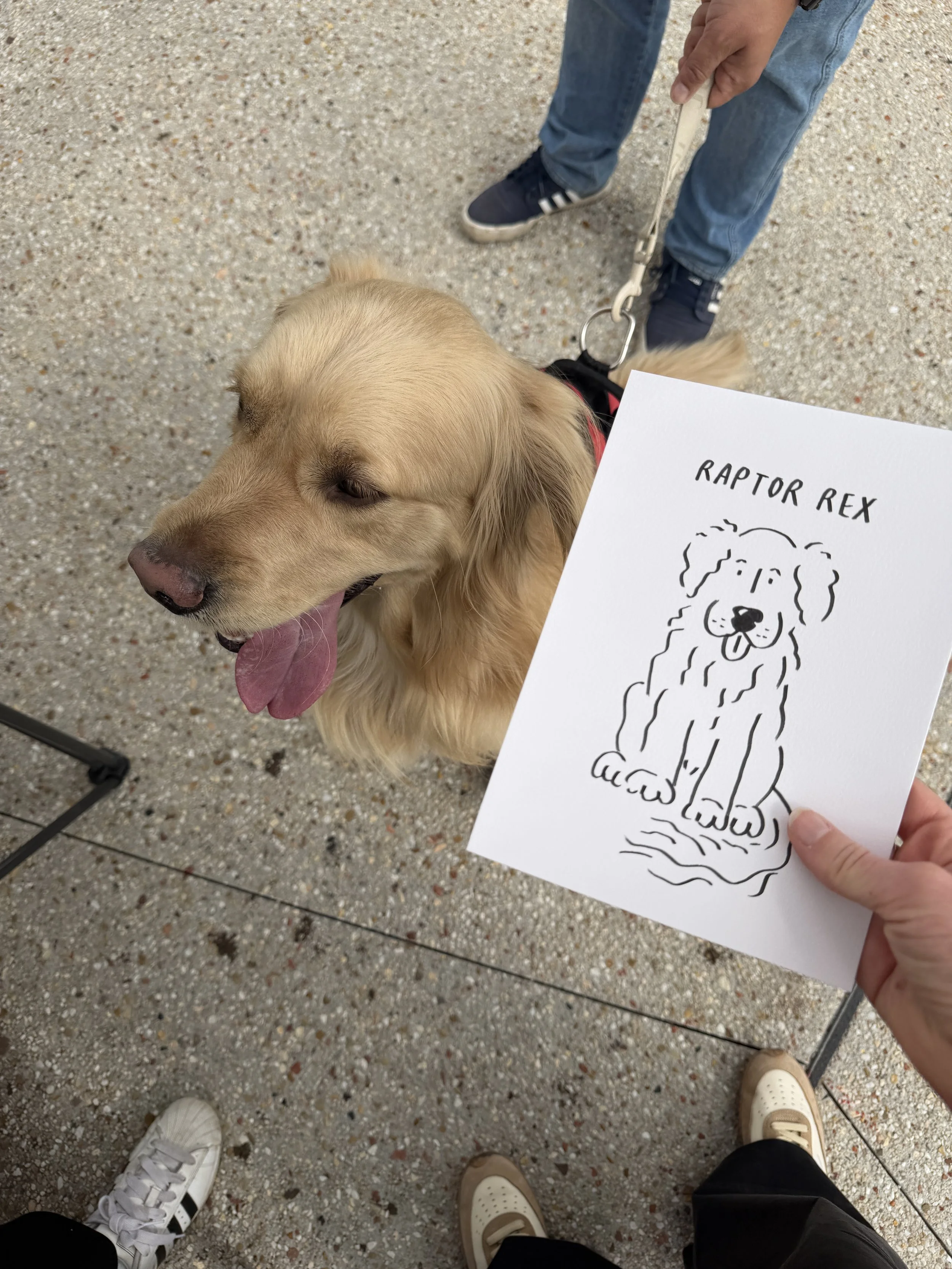 on the spot live drawing, dog drawing illustrations for events & festivals 