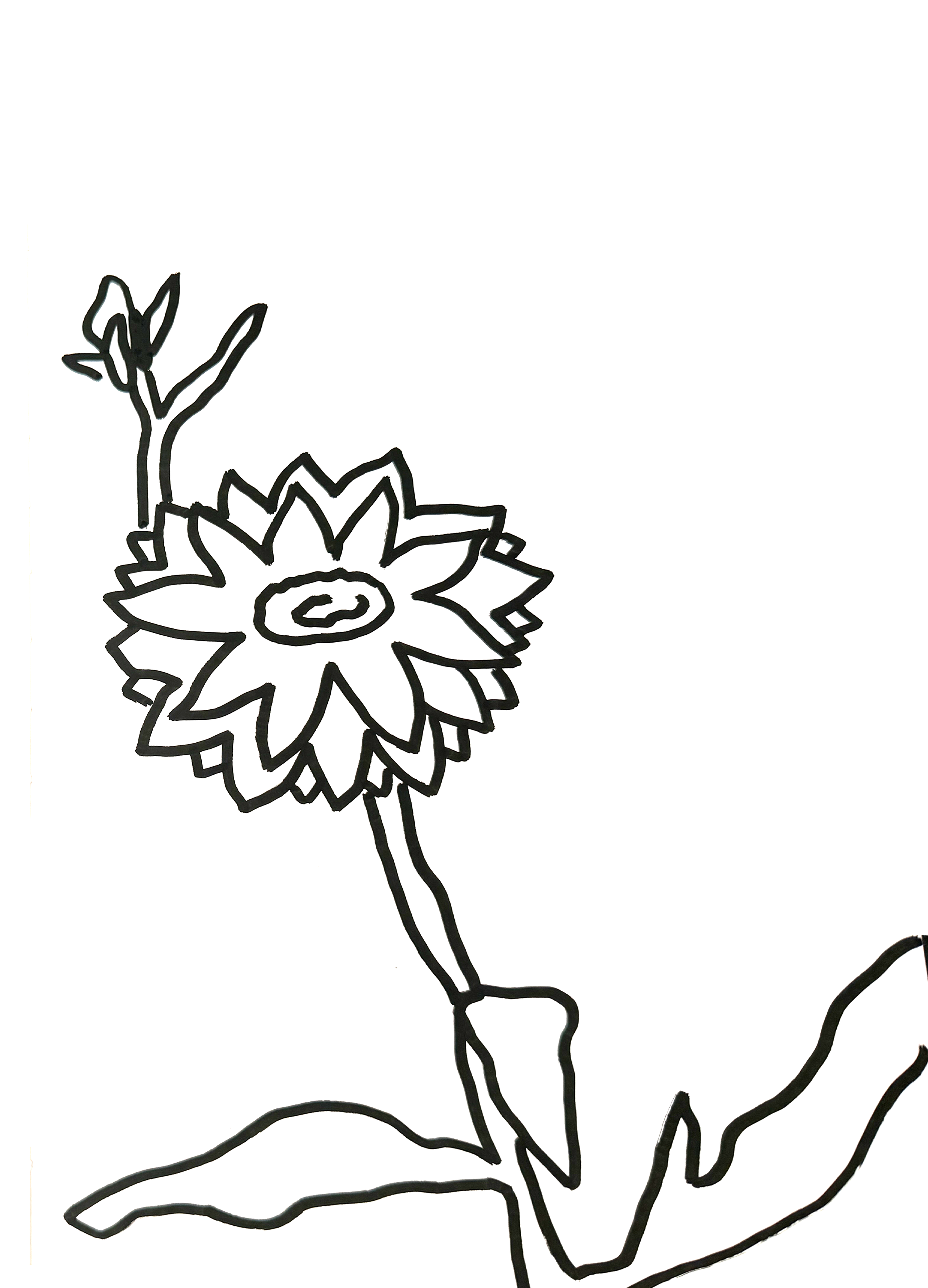 flower.png