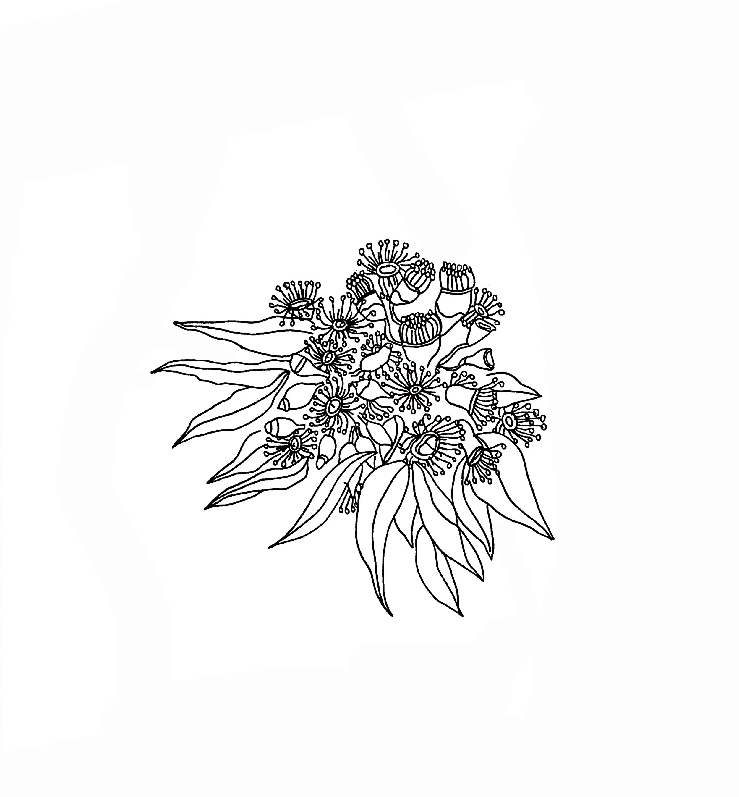 Angharad Neal-Williams Sketchbook Drawings