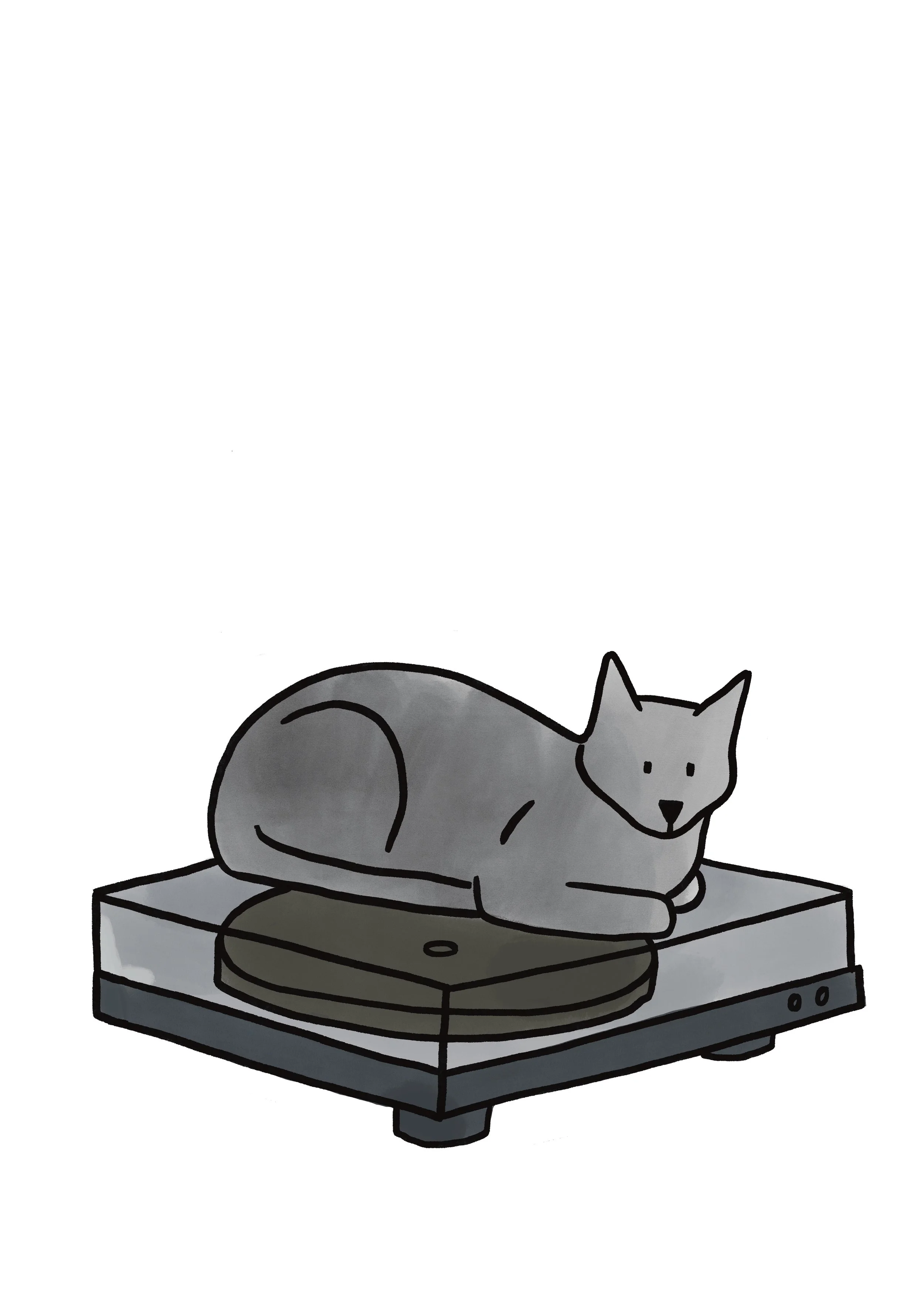 Angharad Neal-Williams_commercial and residential murals, editorial, branding and advertising illustrations