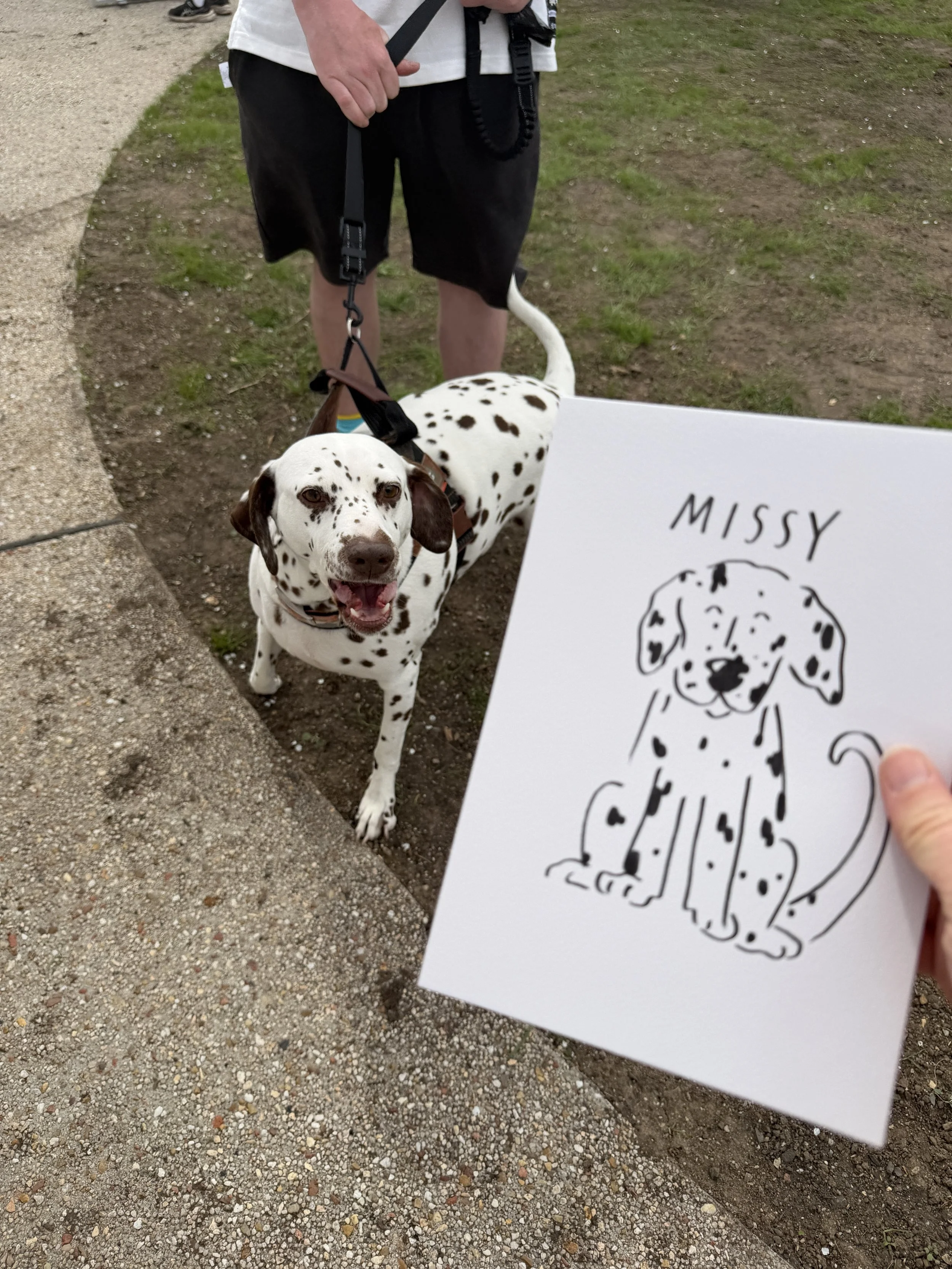 on the spot live drawing, dog drawing illustrations for events & festivals 