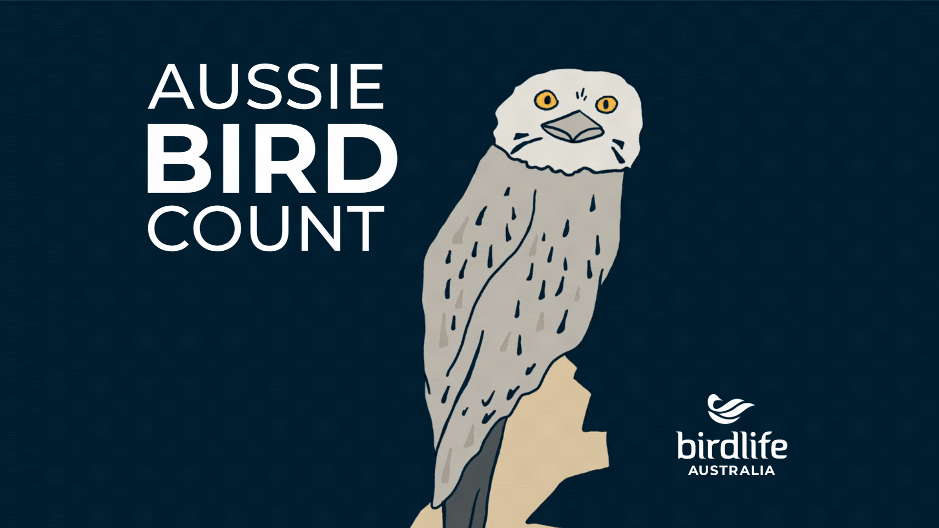BIRDLIFE AUSTRALIA