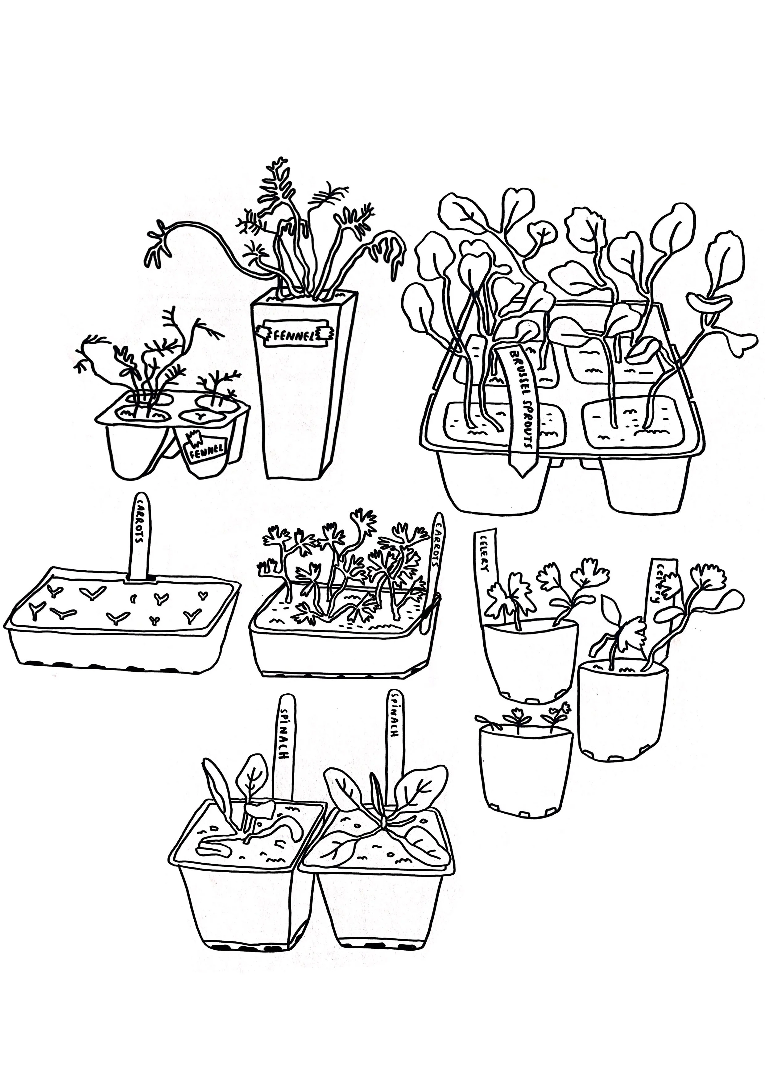 Angharad Neal-Williams Sketchbook Drawings