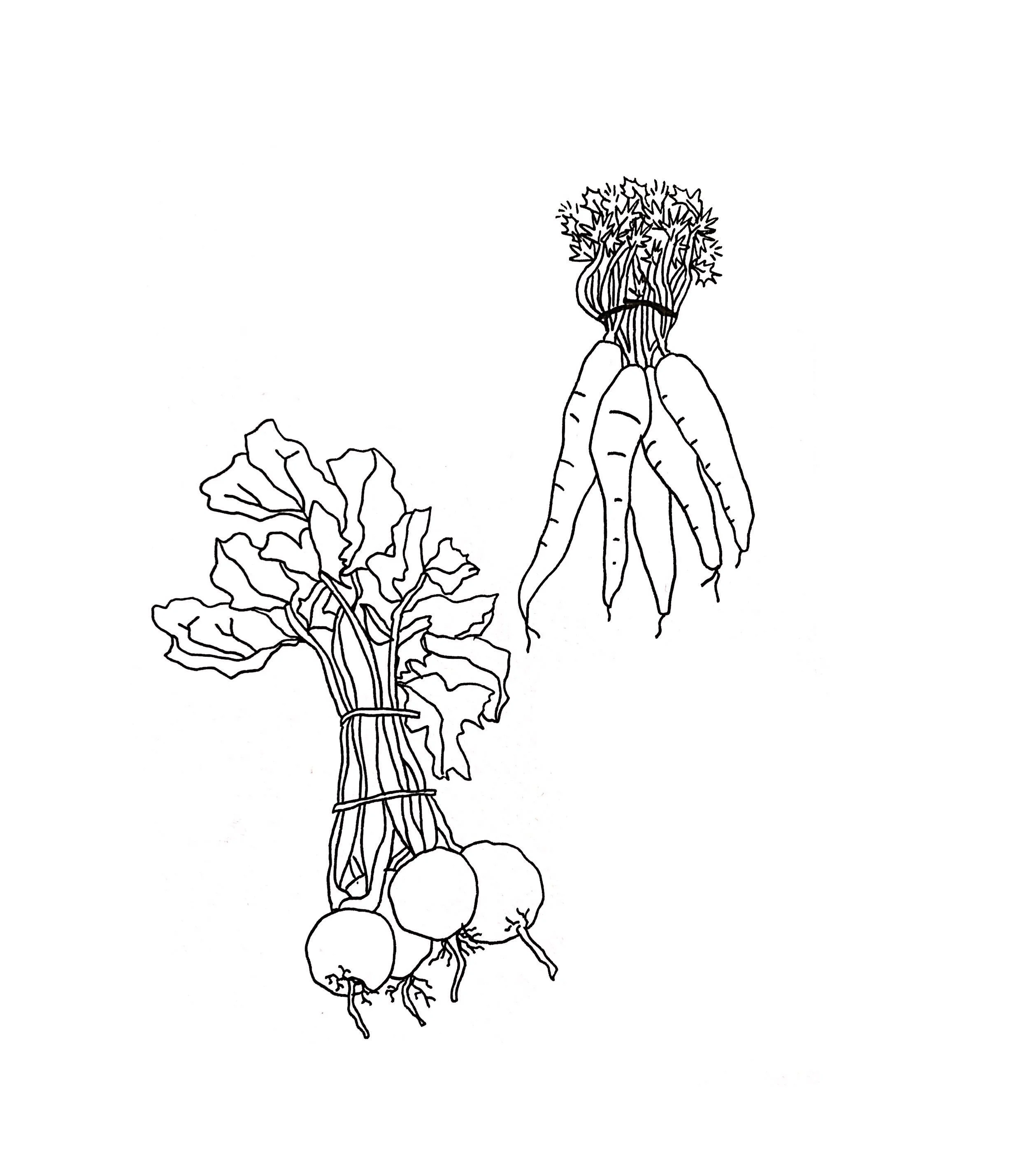 Angharad Neal-Williams Sketchbook Drawings