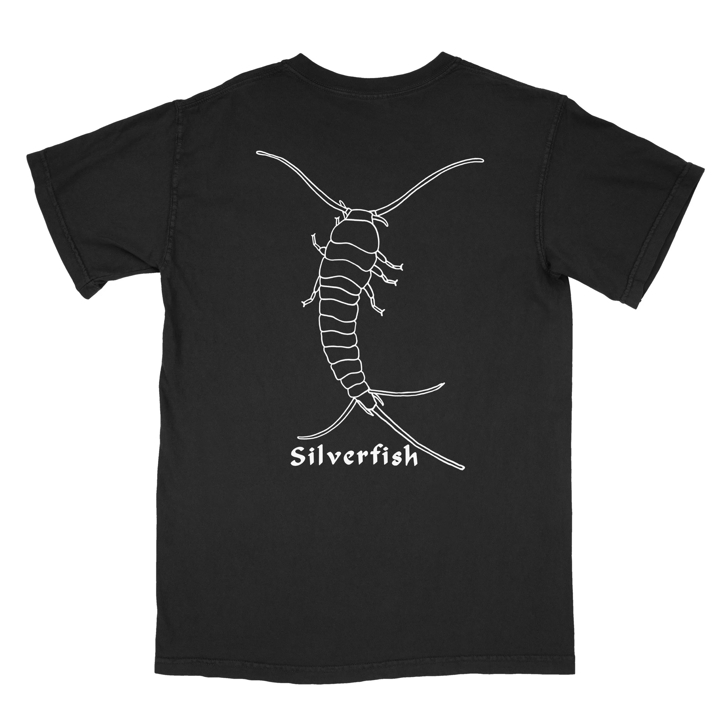 silverfishbackchar.jpg