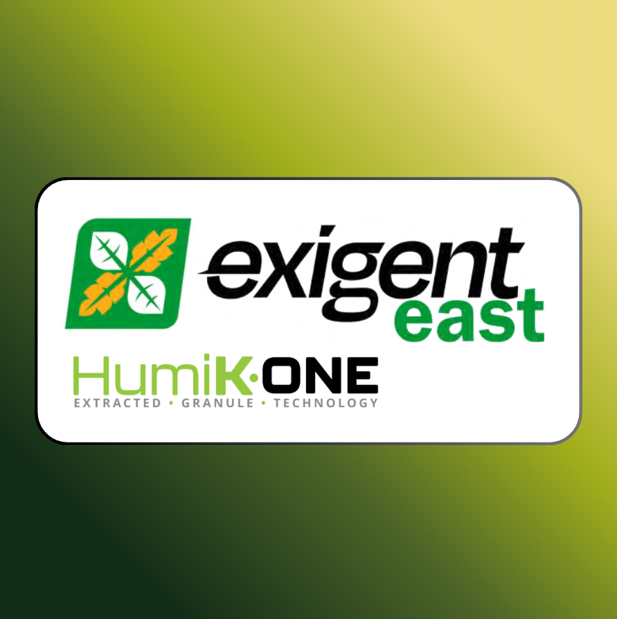 Exigent East