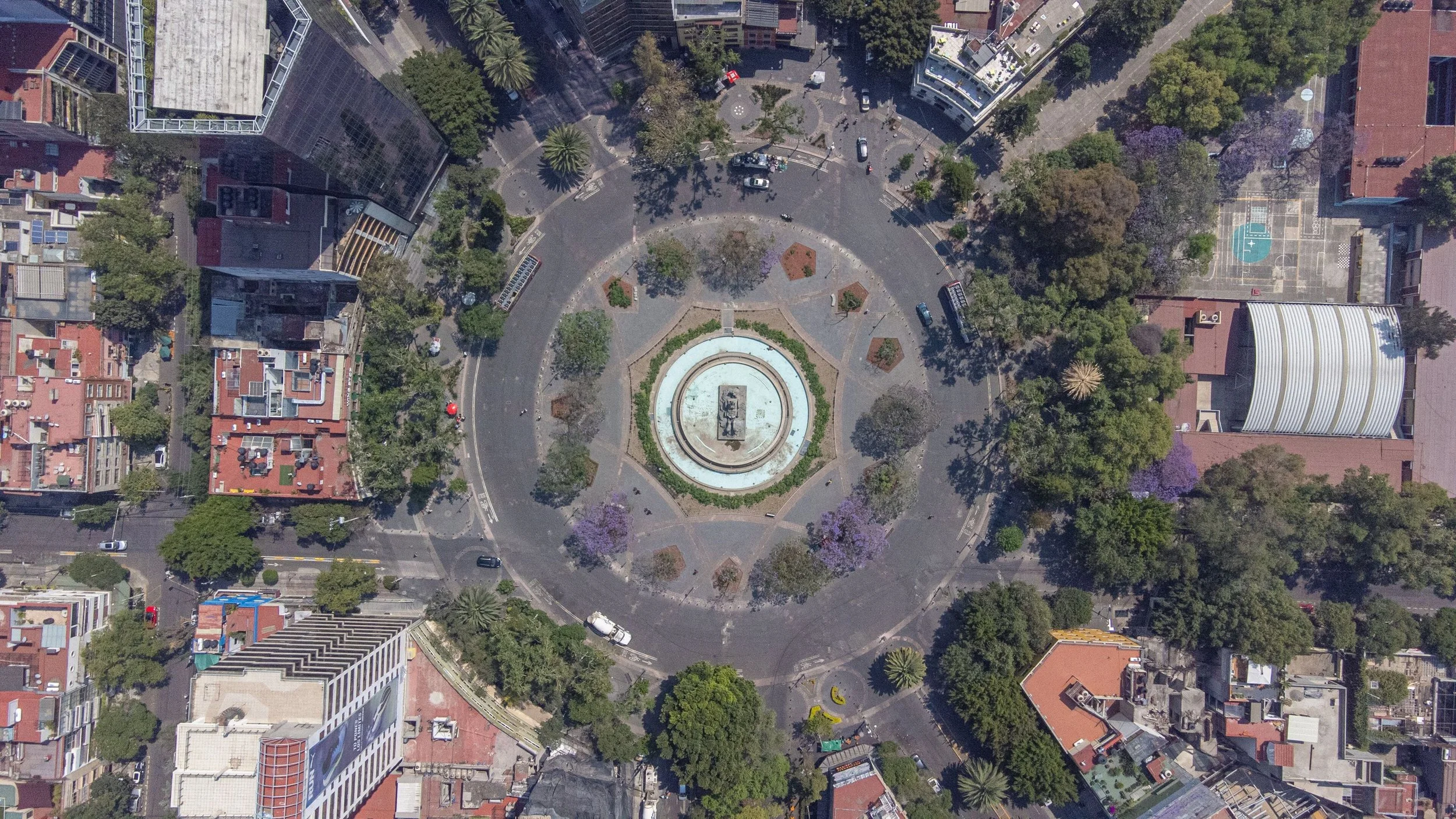Slow Living in Mexico City