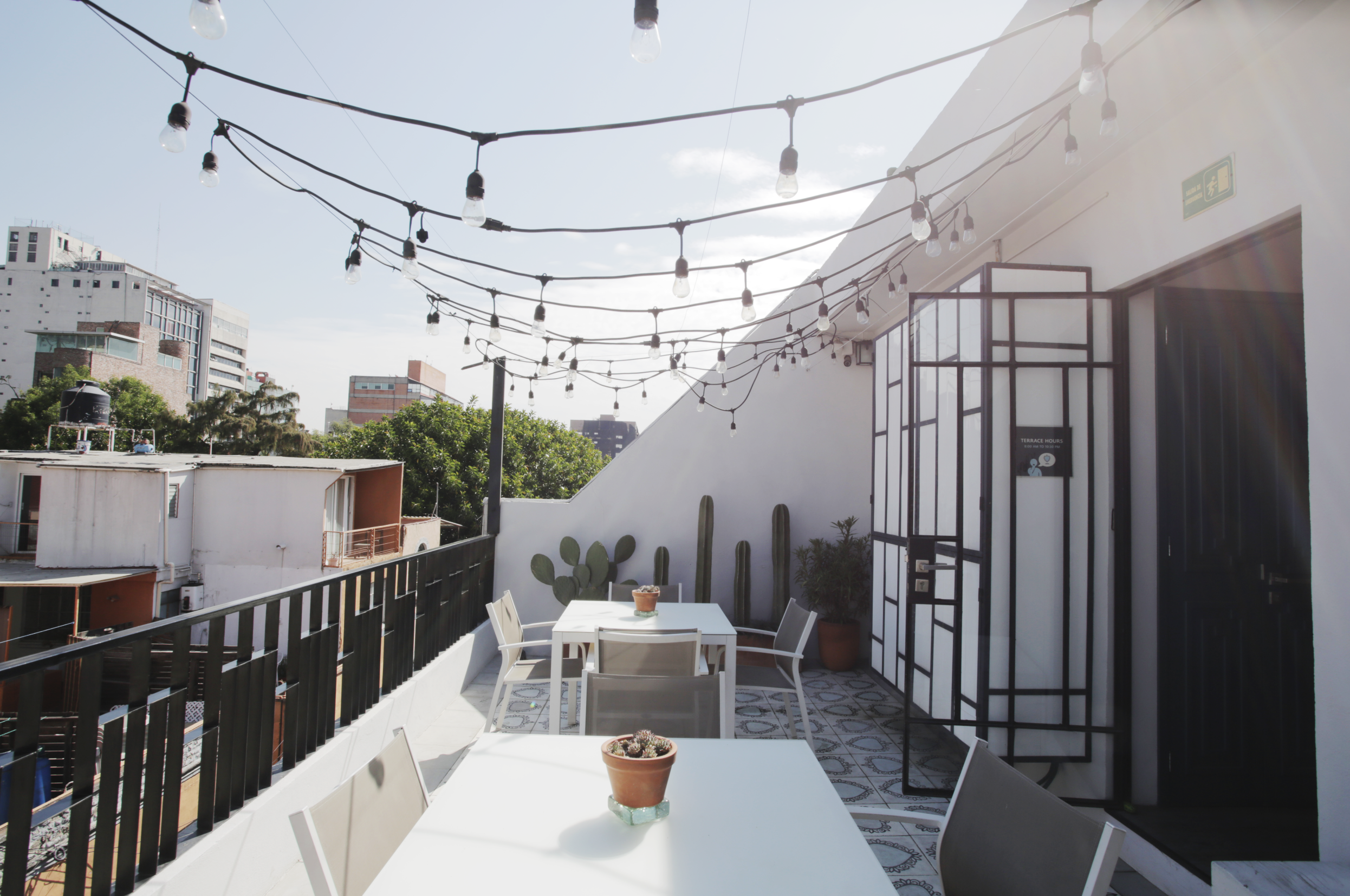 La Palomilla | Best Mexico City Bed and Breakfast